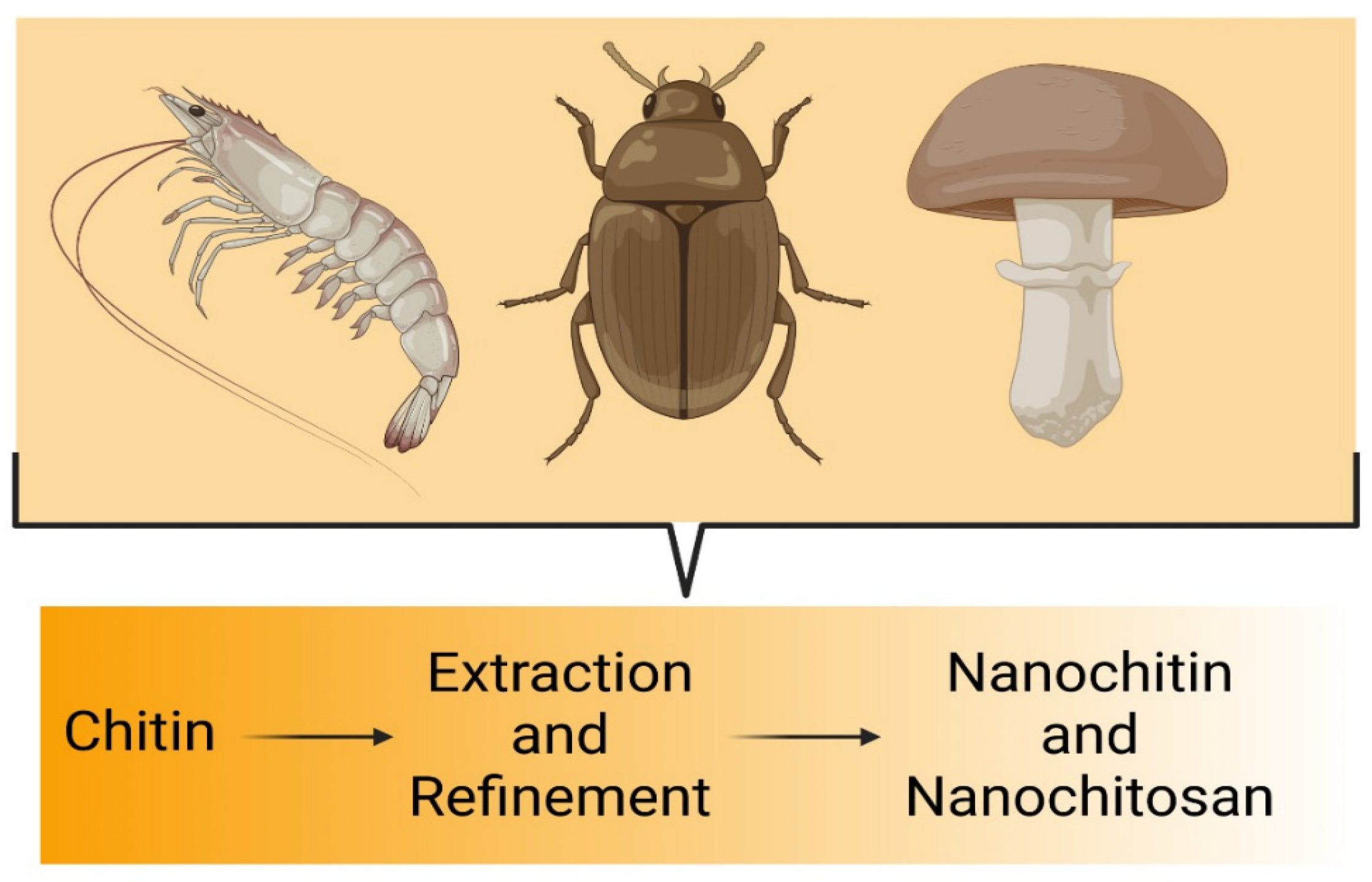 Pharmaceutics 17 00576 g002