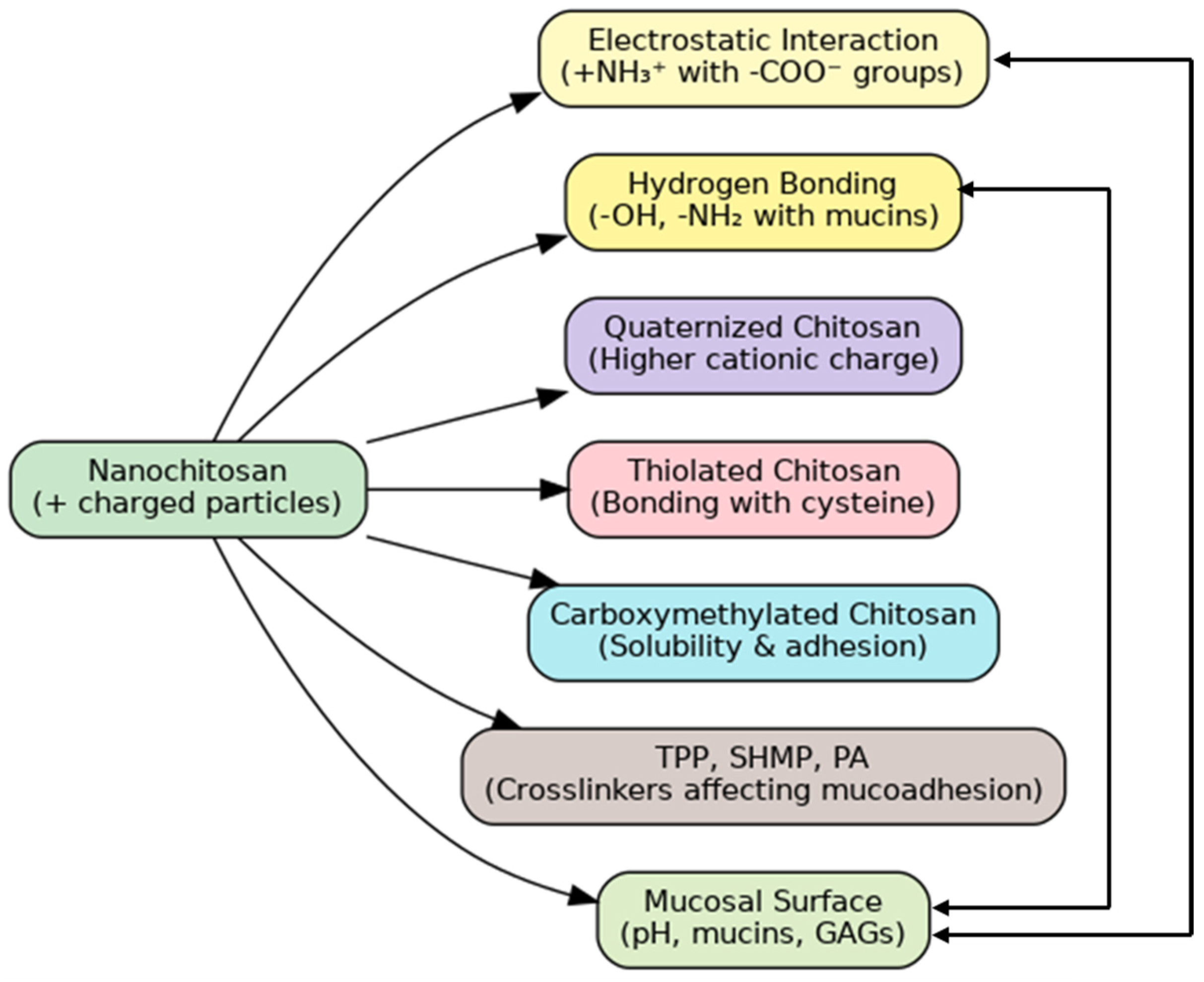 Pharmaceutics 17 00576 g006