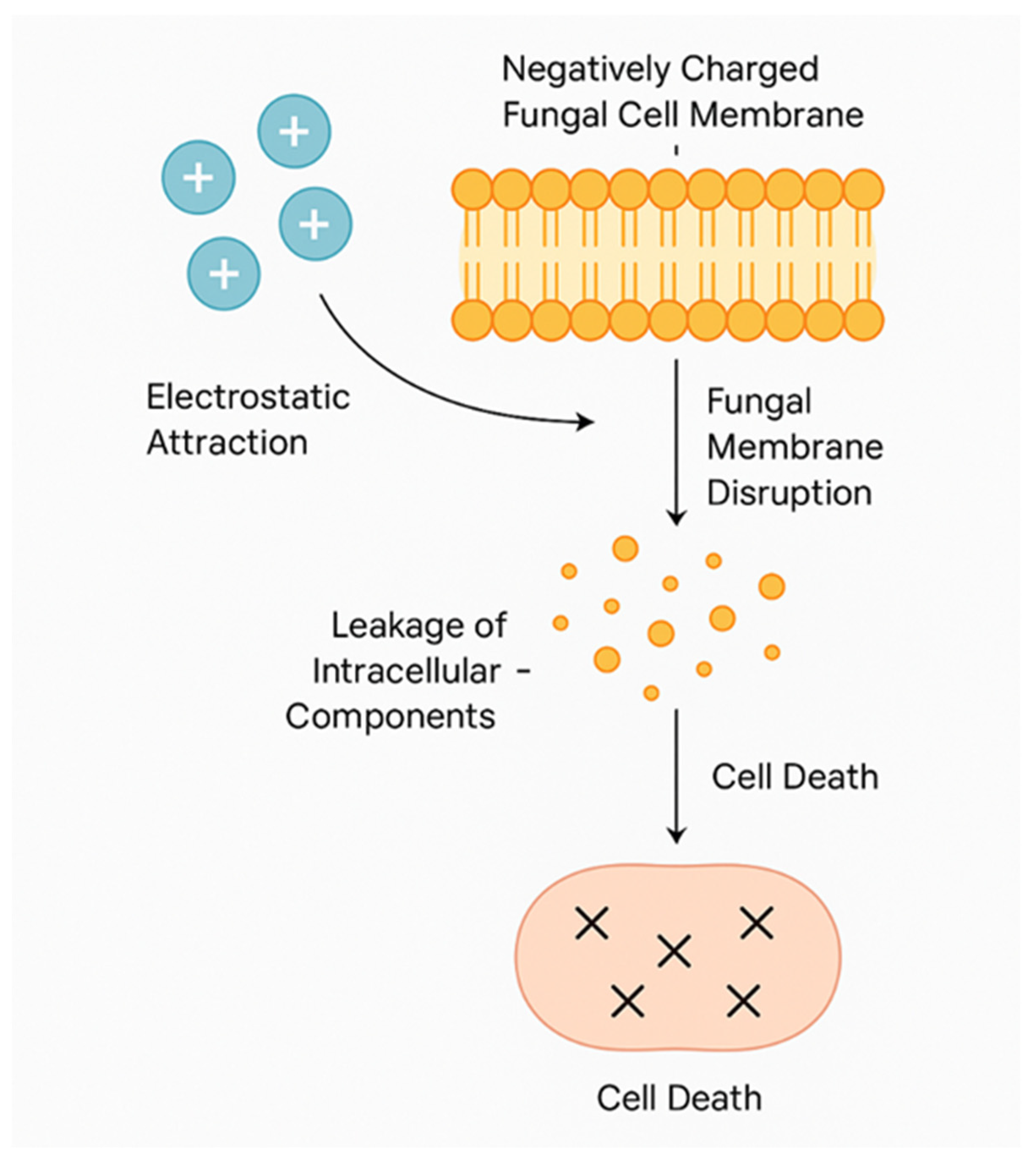 Pharmaceutics 17 00576 g007
