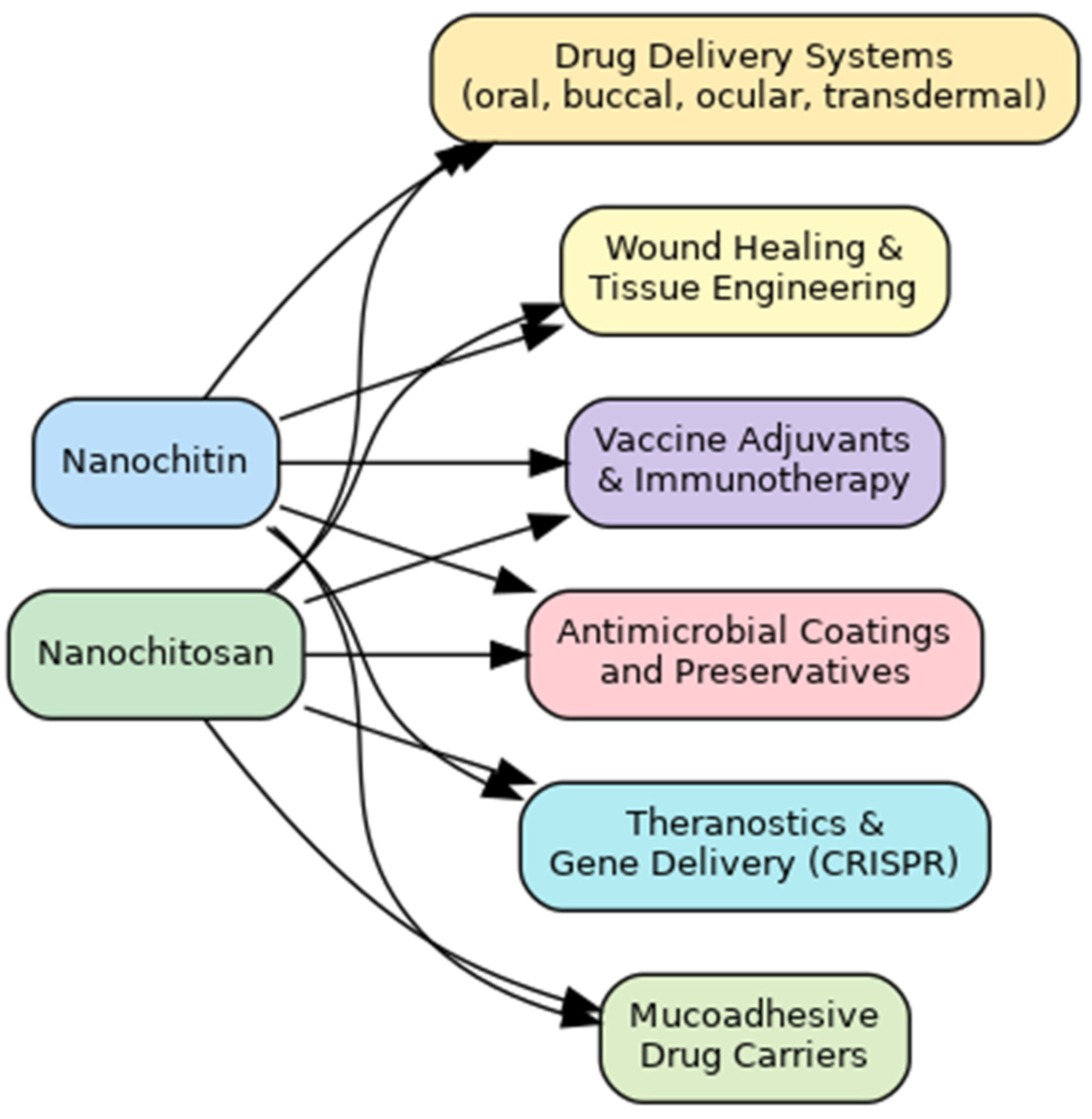 Pharmaceutics 17 00576 g008