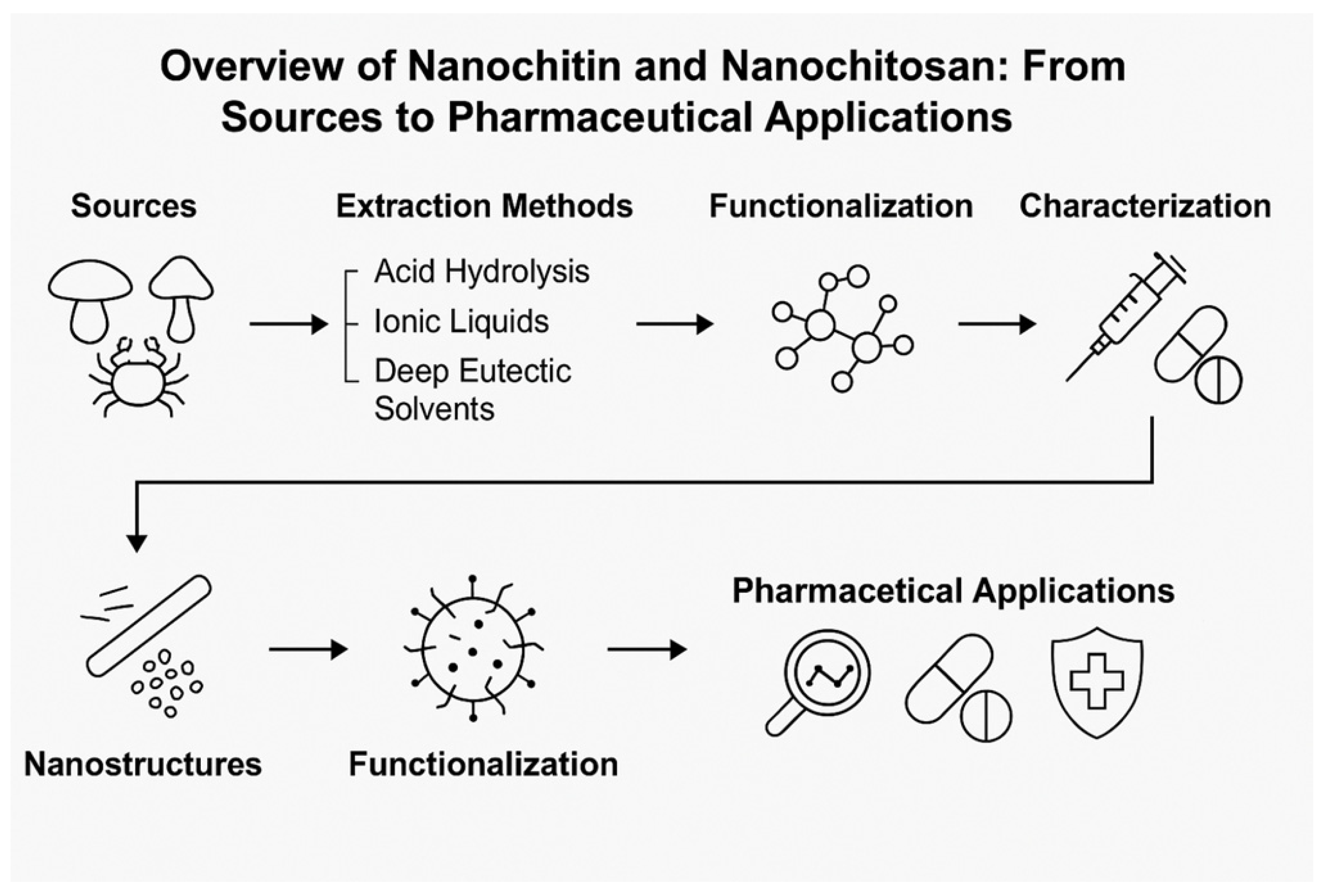 Pharmaceutics 17 00576 g010