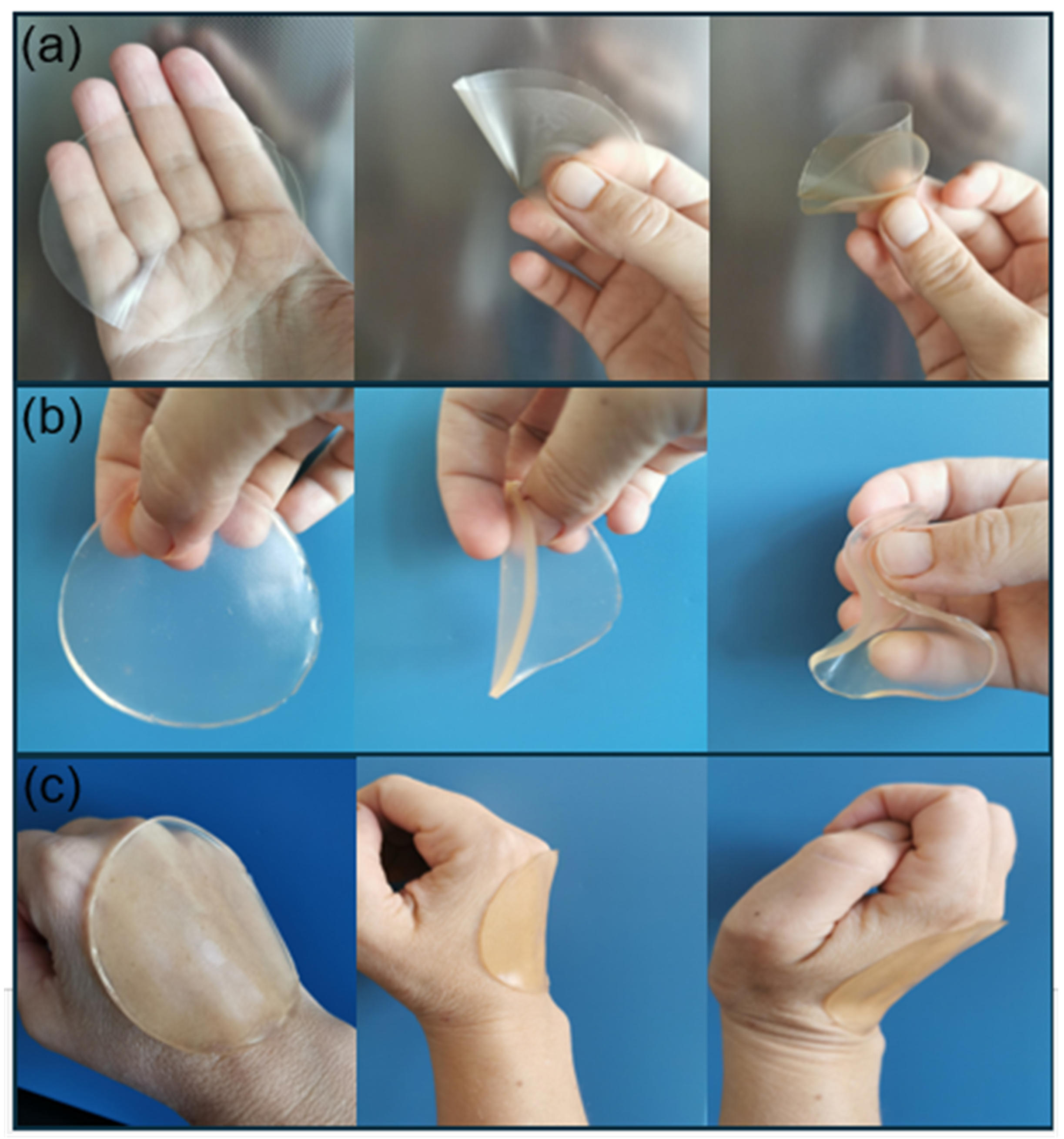 Pharmaceutics 17 00578 g002