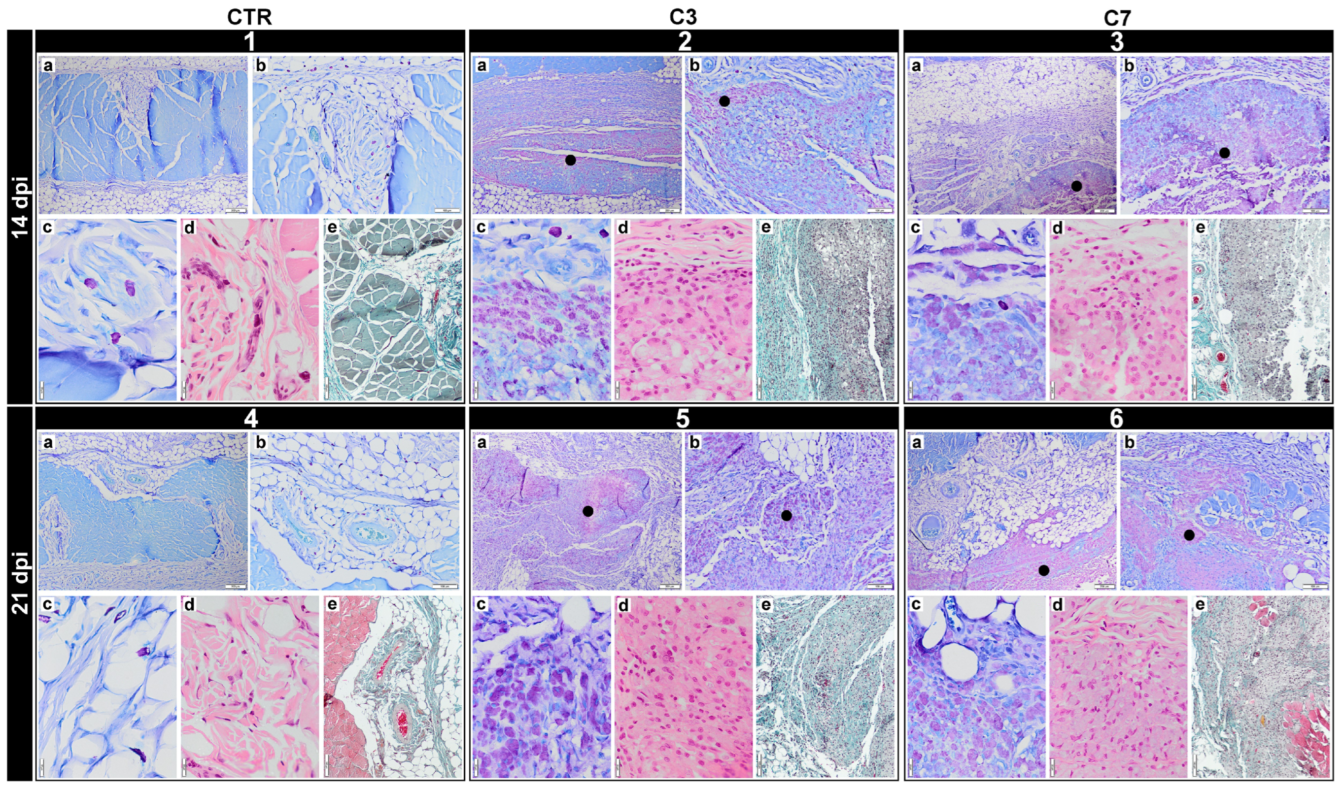 Pharmaceutics 17 00578 g008