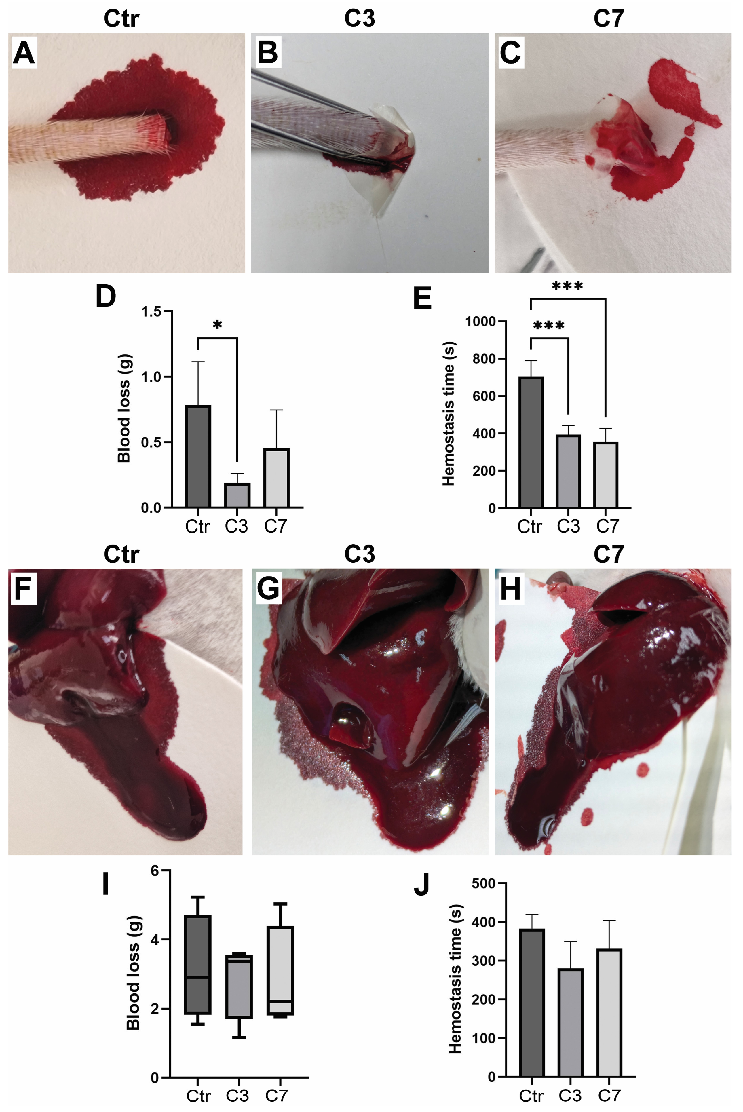 Pharmaceutics 17 00578 g009