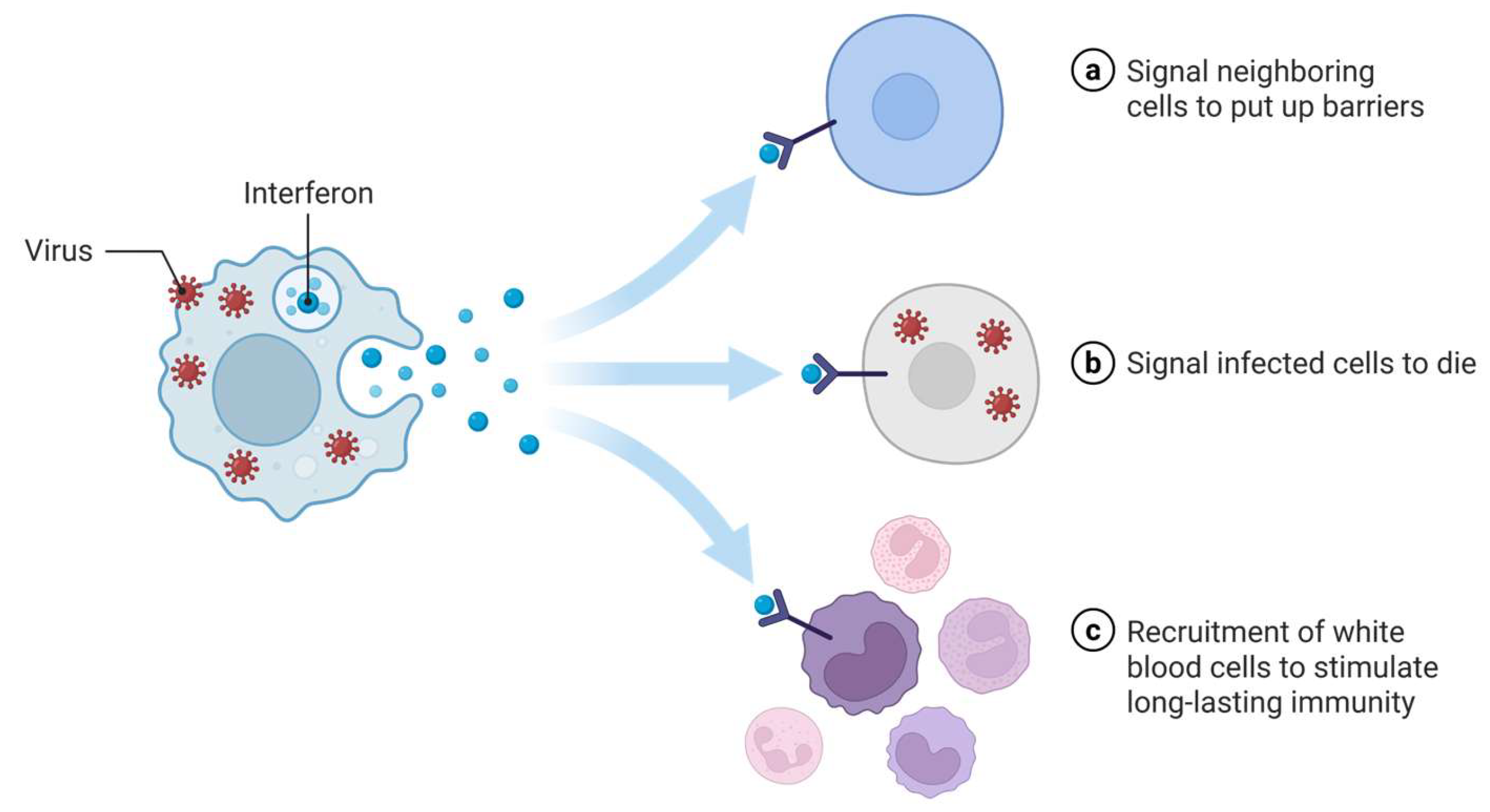 Pharmaceutics 17 00581 g002