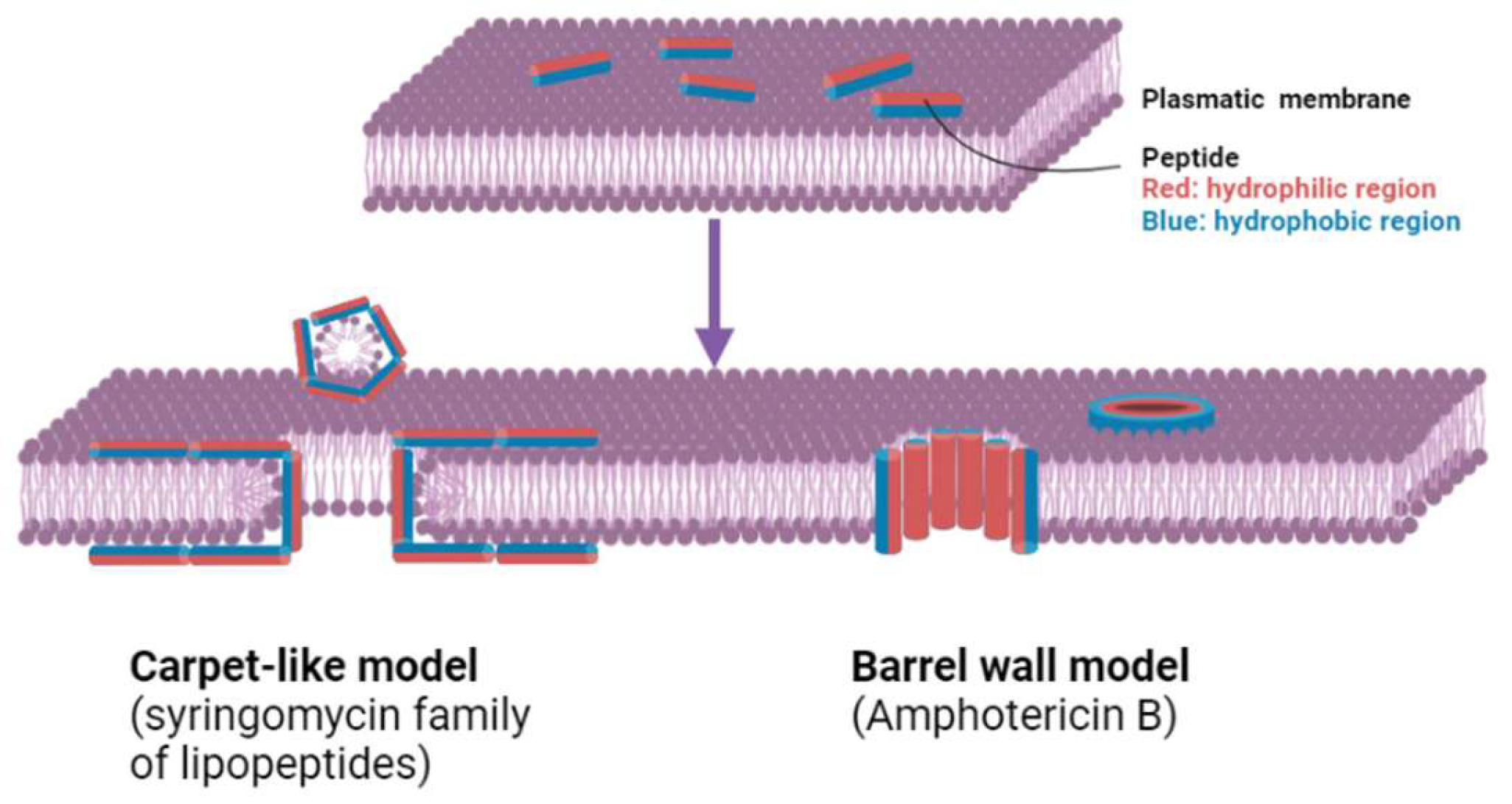 Pharmaceutics 17 00581 g005