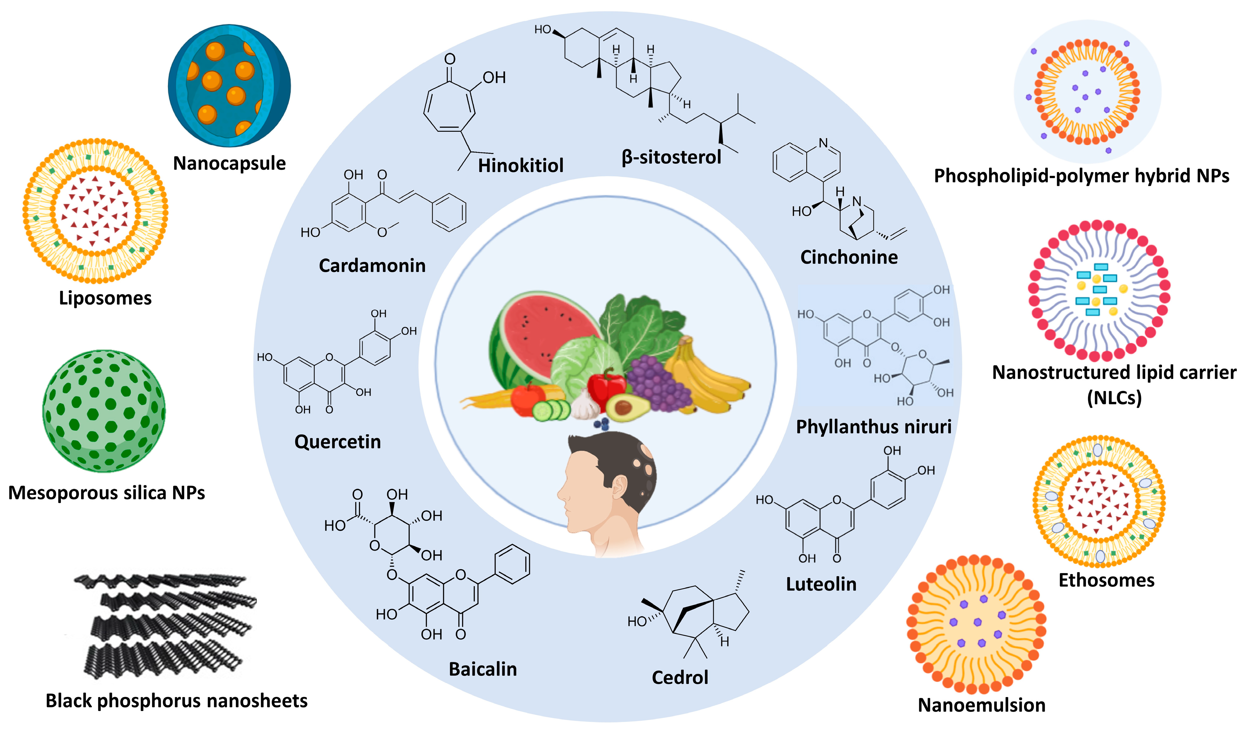 Pharmaceutics 17 00584 g002