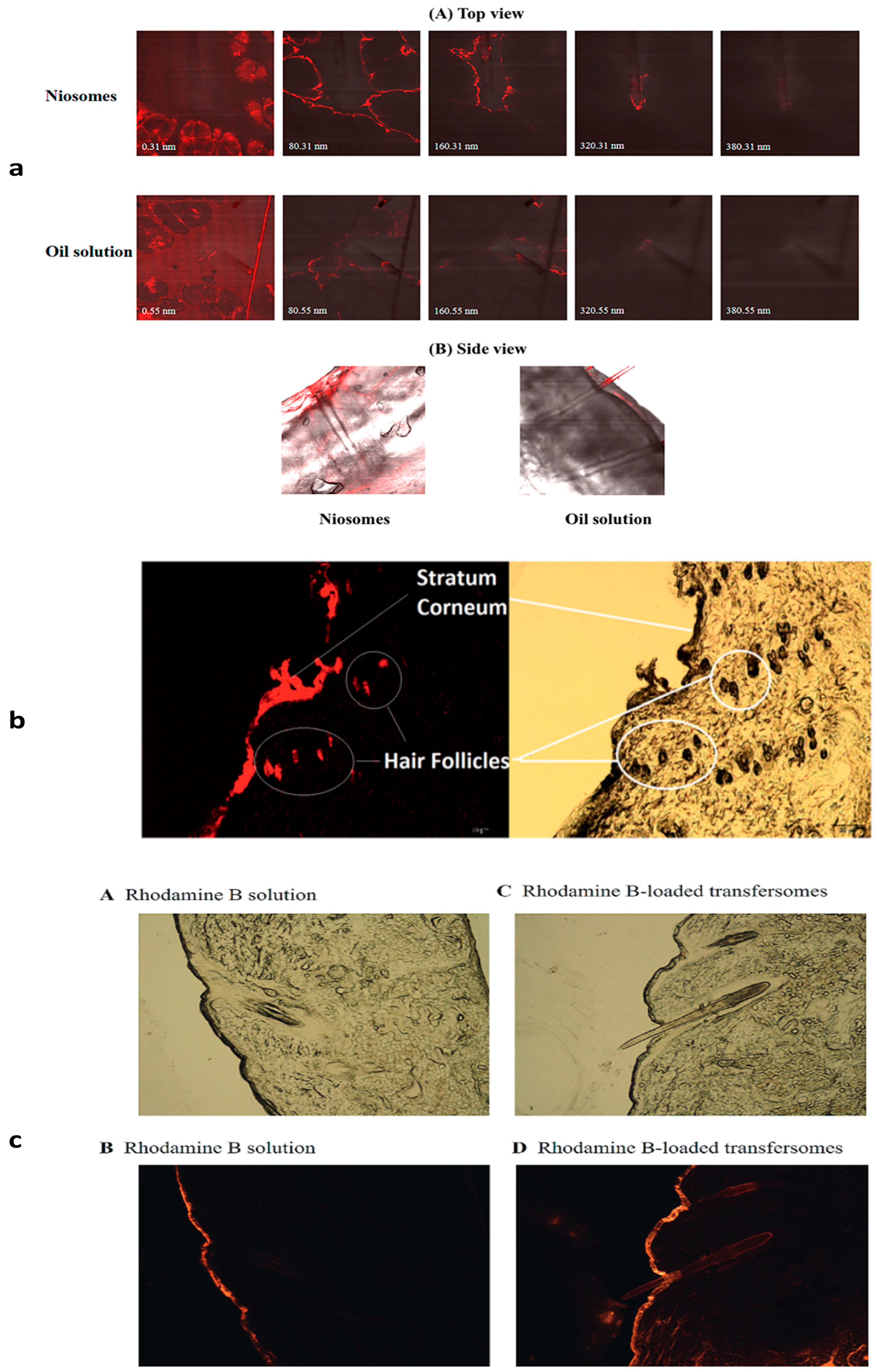 Pharmaceutics 17 00584 g003