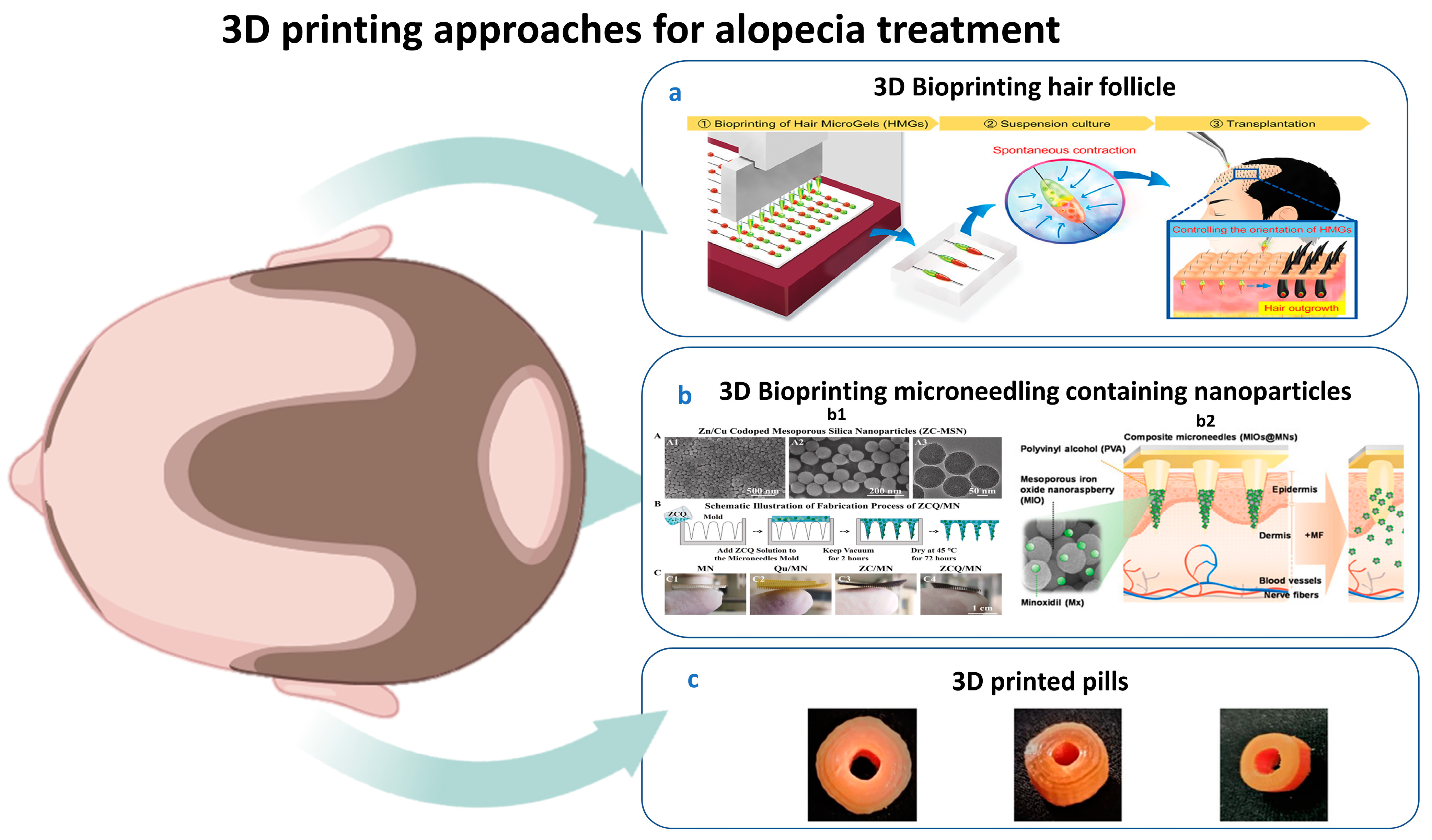 Pharmaceutics 17 00584 g004