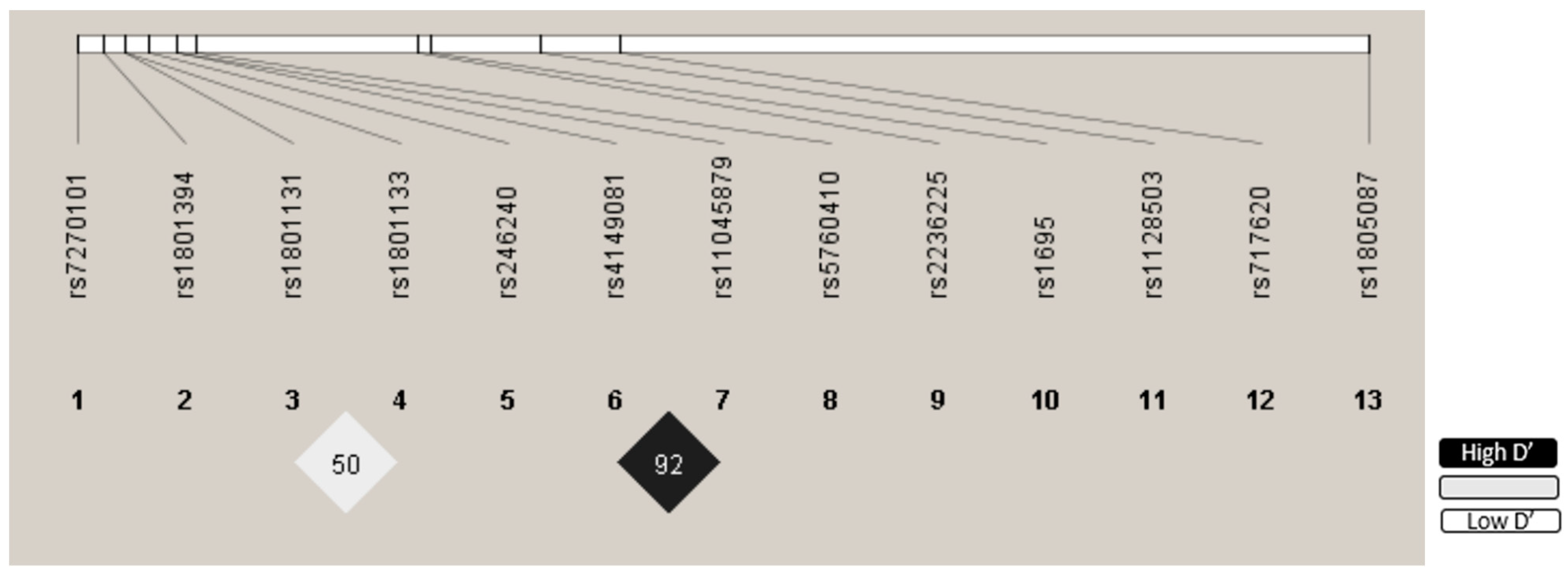 Pharmaceutics 17 00585 g002