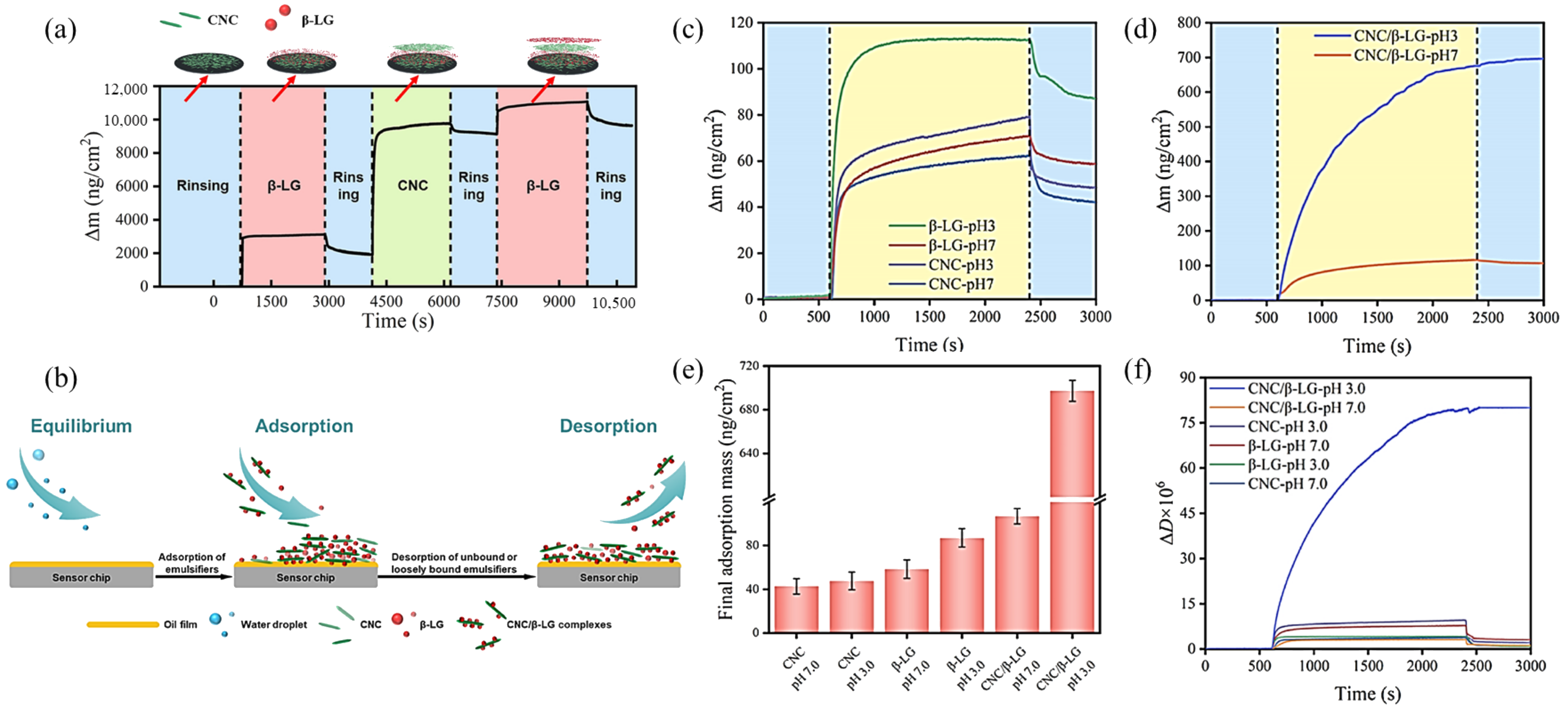 Pharmaceutics 17 00587 g004