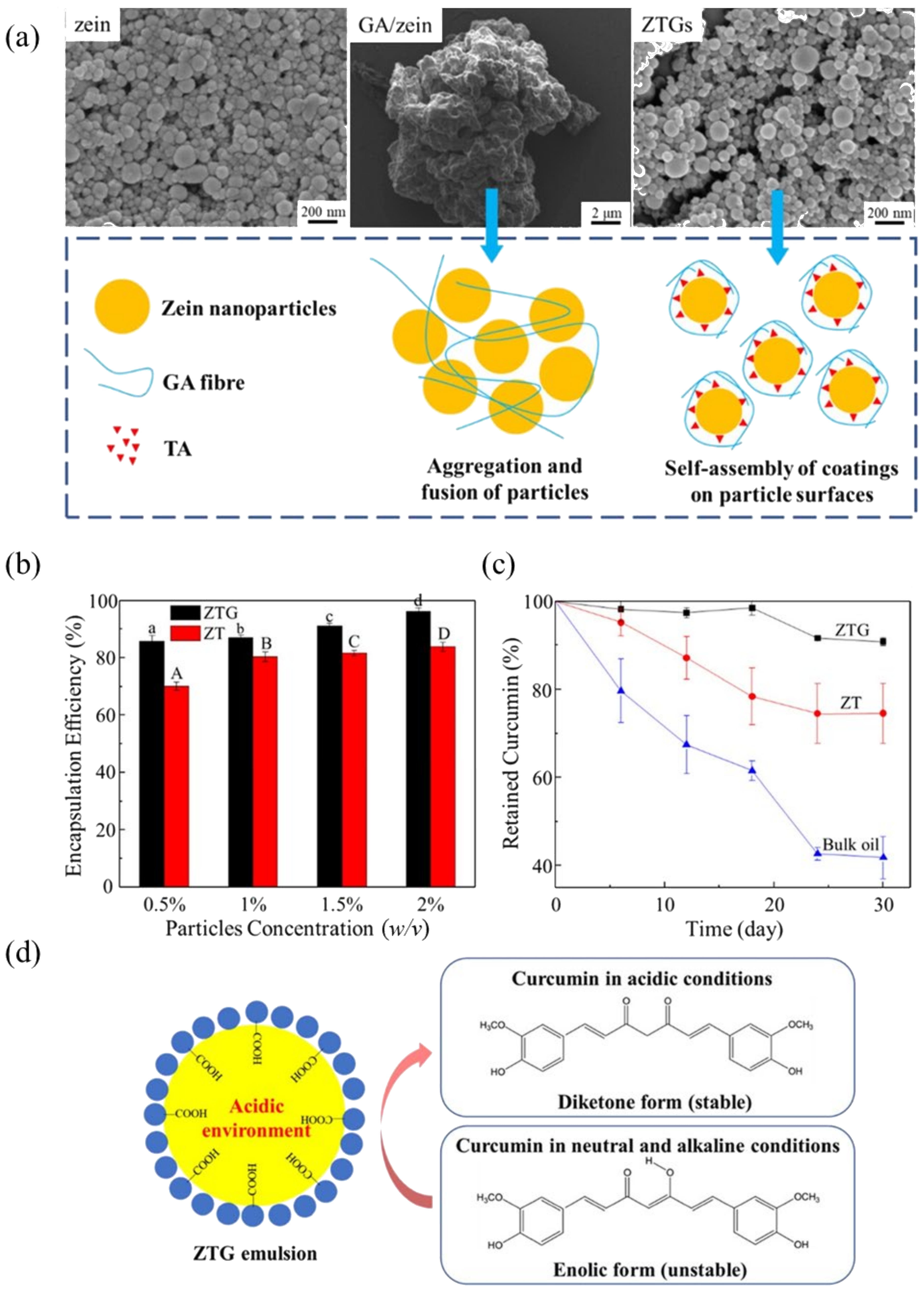 Pharmaceutics 17 00587 g006