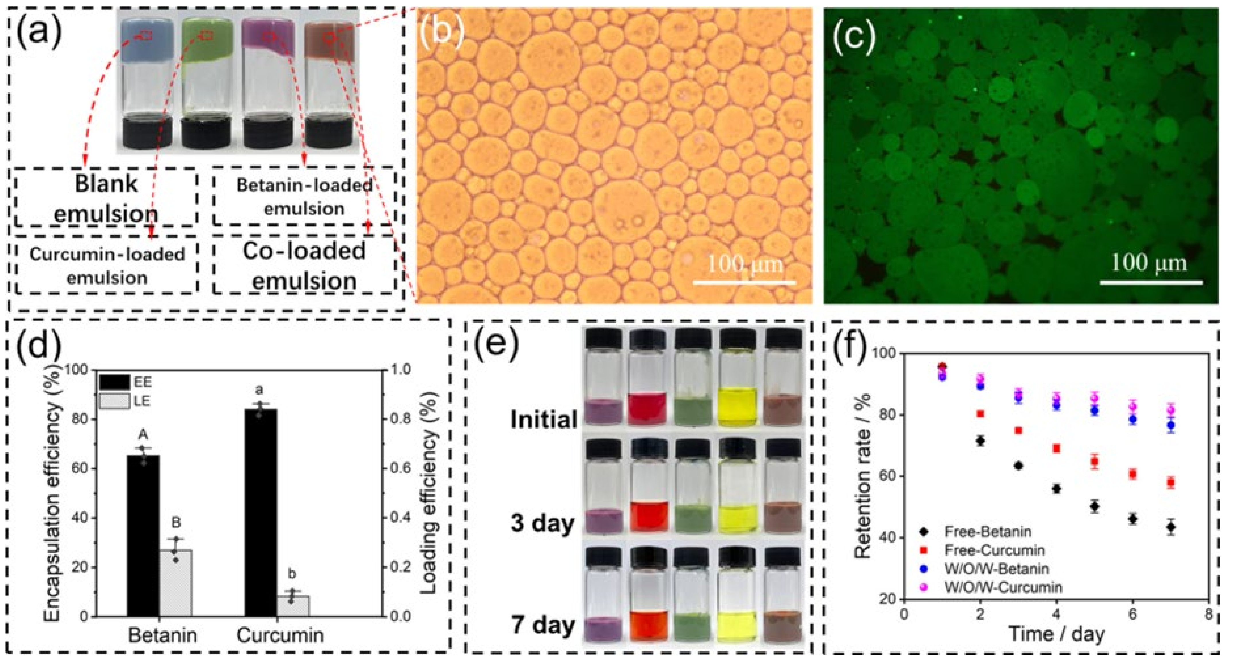 Pharmaceutics 17 00587 g007