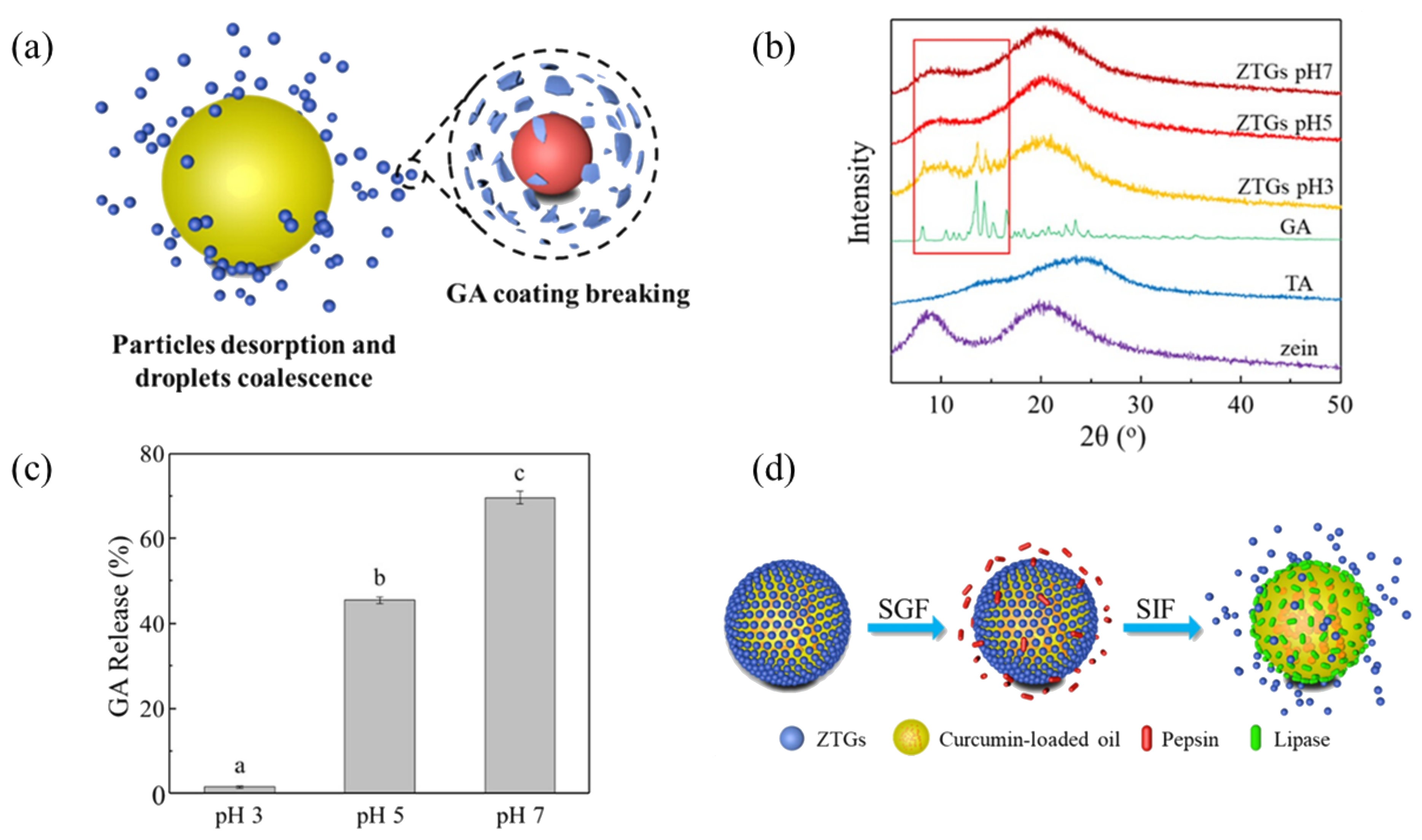 Pharmaceutics 17 00587 g009