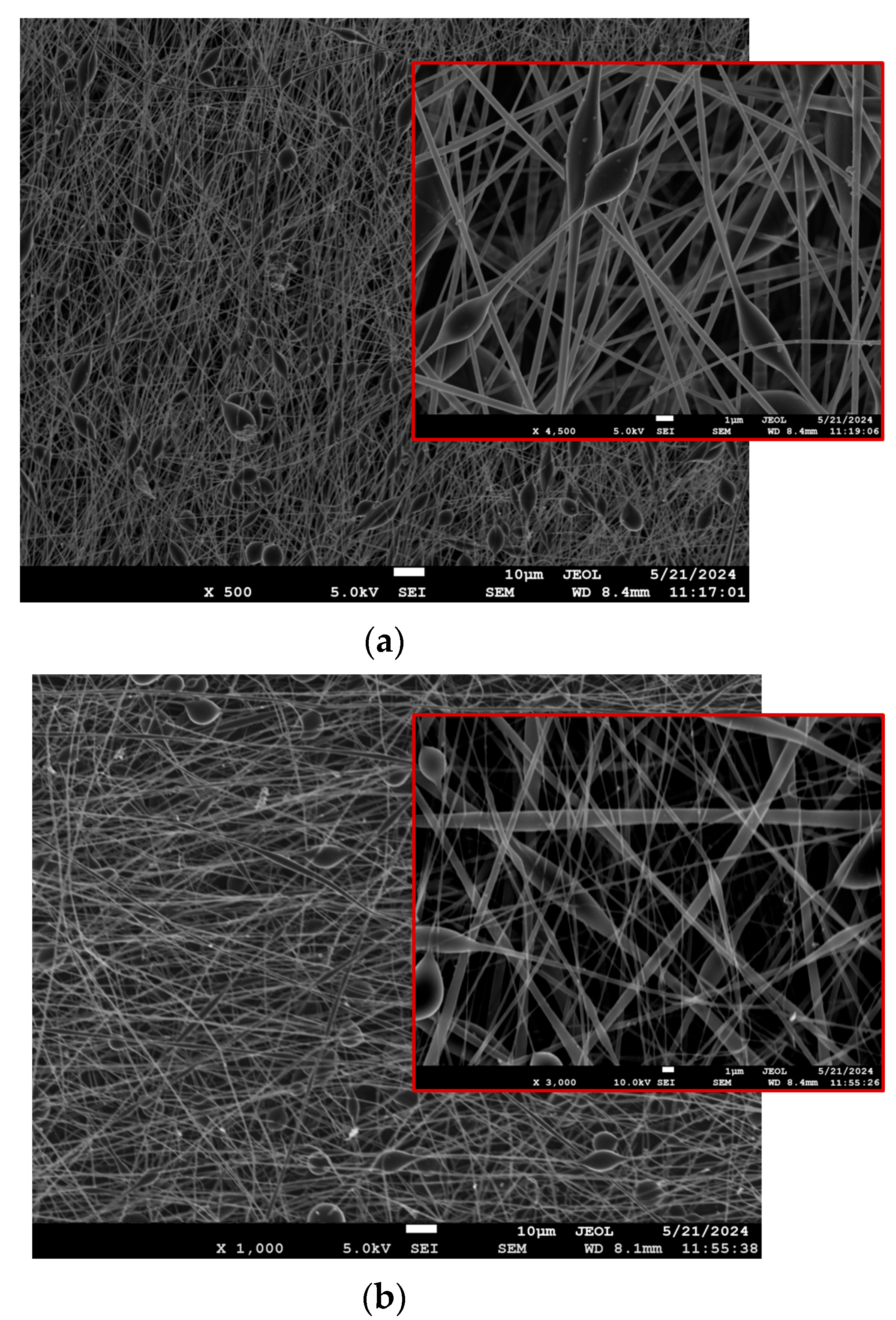 Pharmaceutics 17 00589 g002a