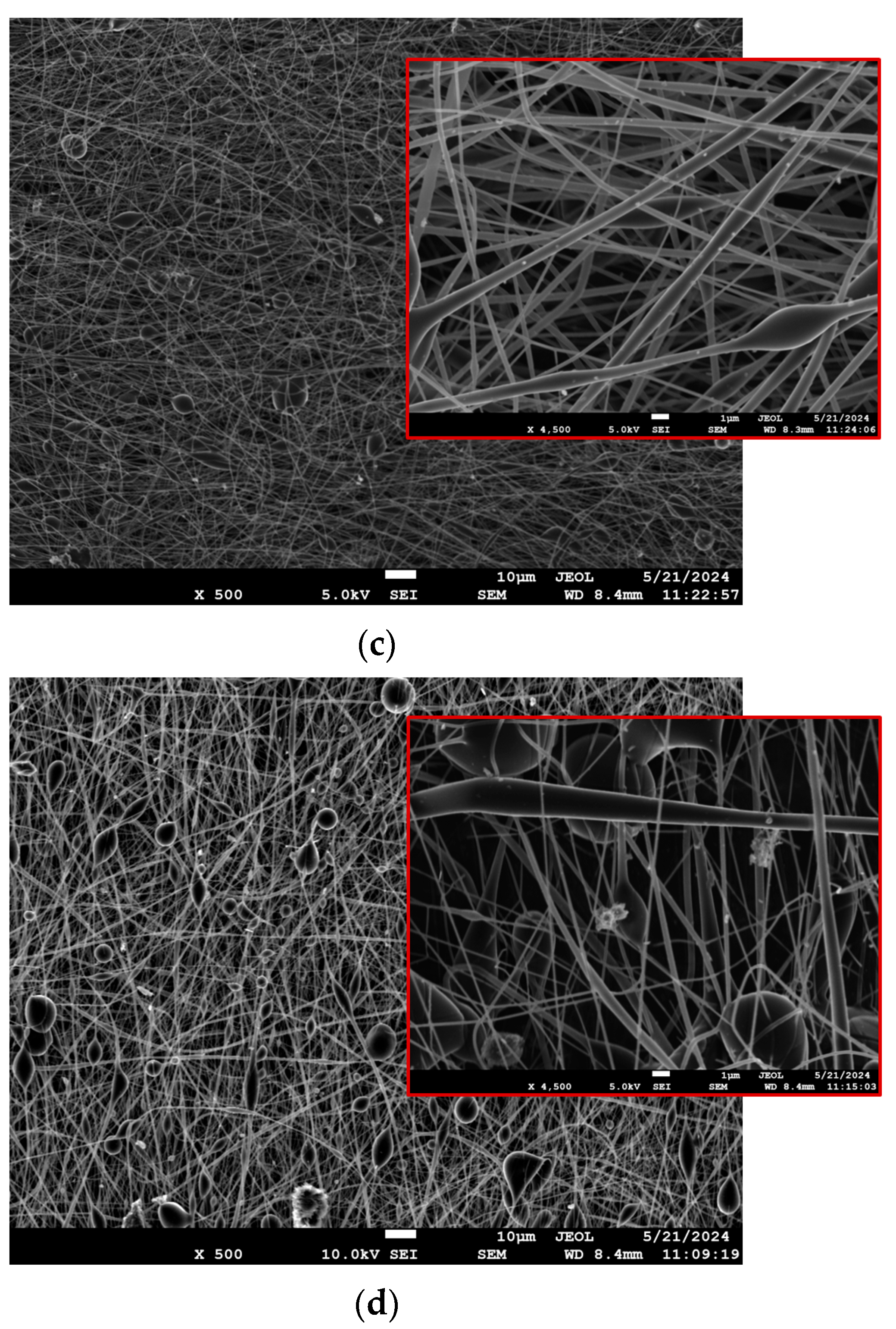 Pharmaceutics 17 00589 g002b