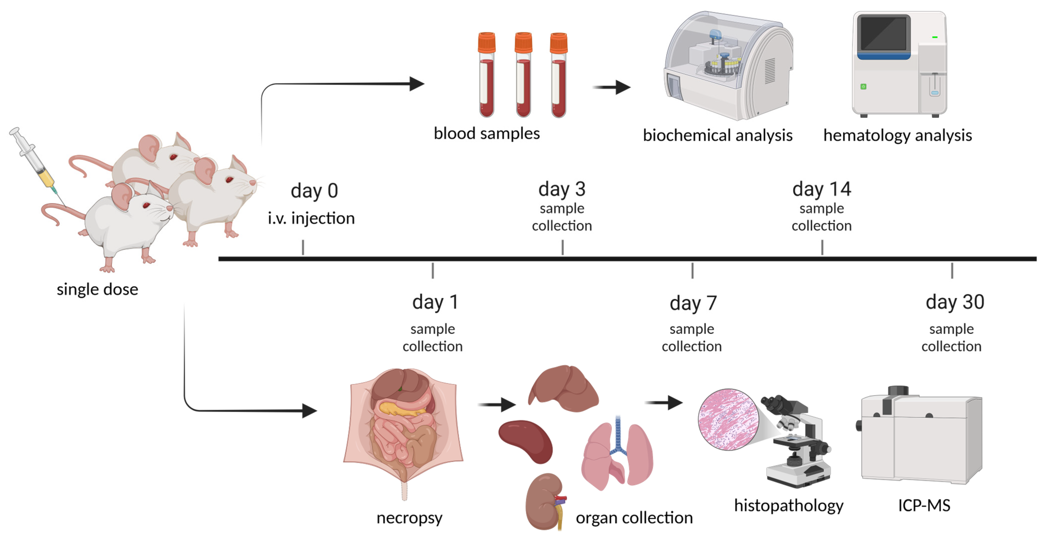 Pharmaceutics 17 00593 g001