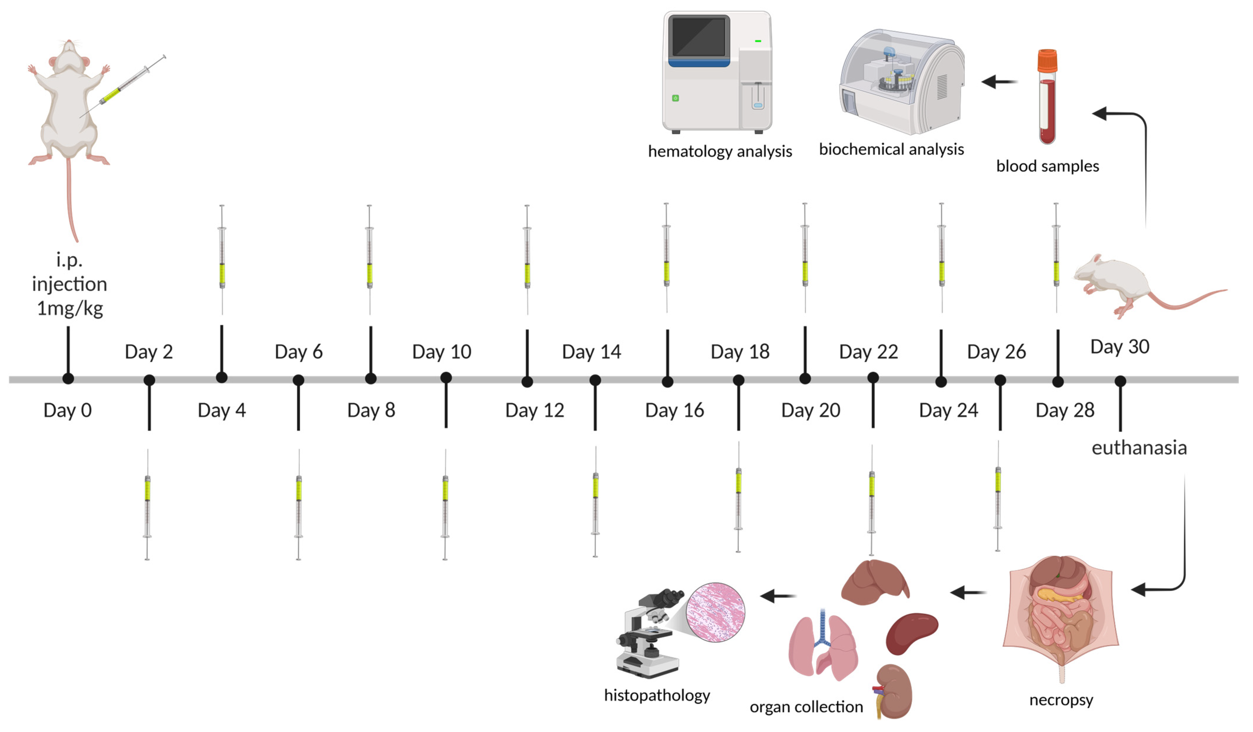 Pharmaceutics 17 00593 g002