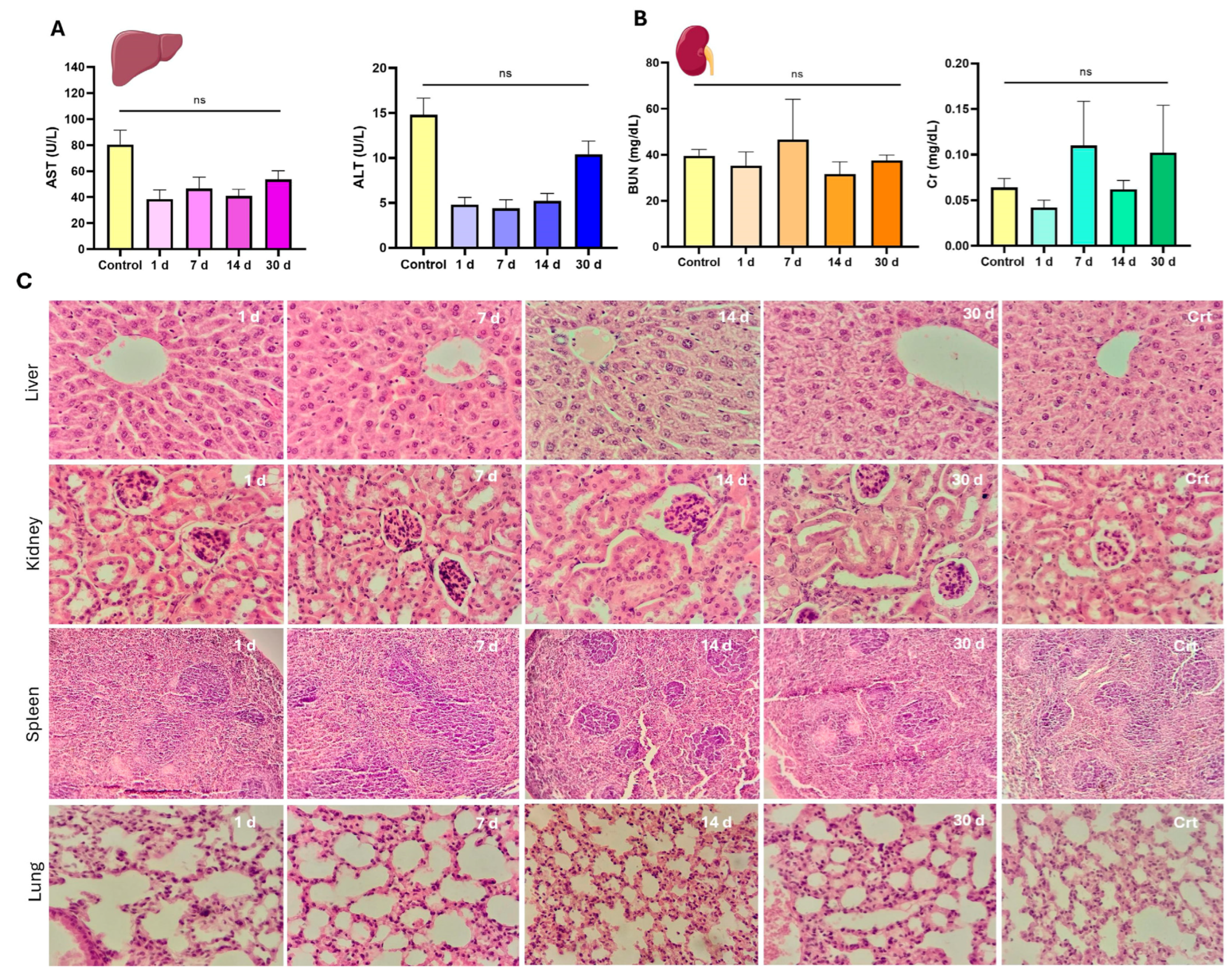Pharmaceutics 17 00593 g005