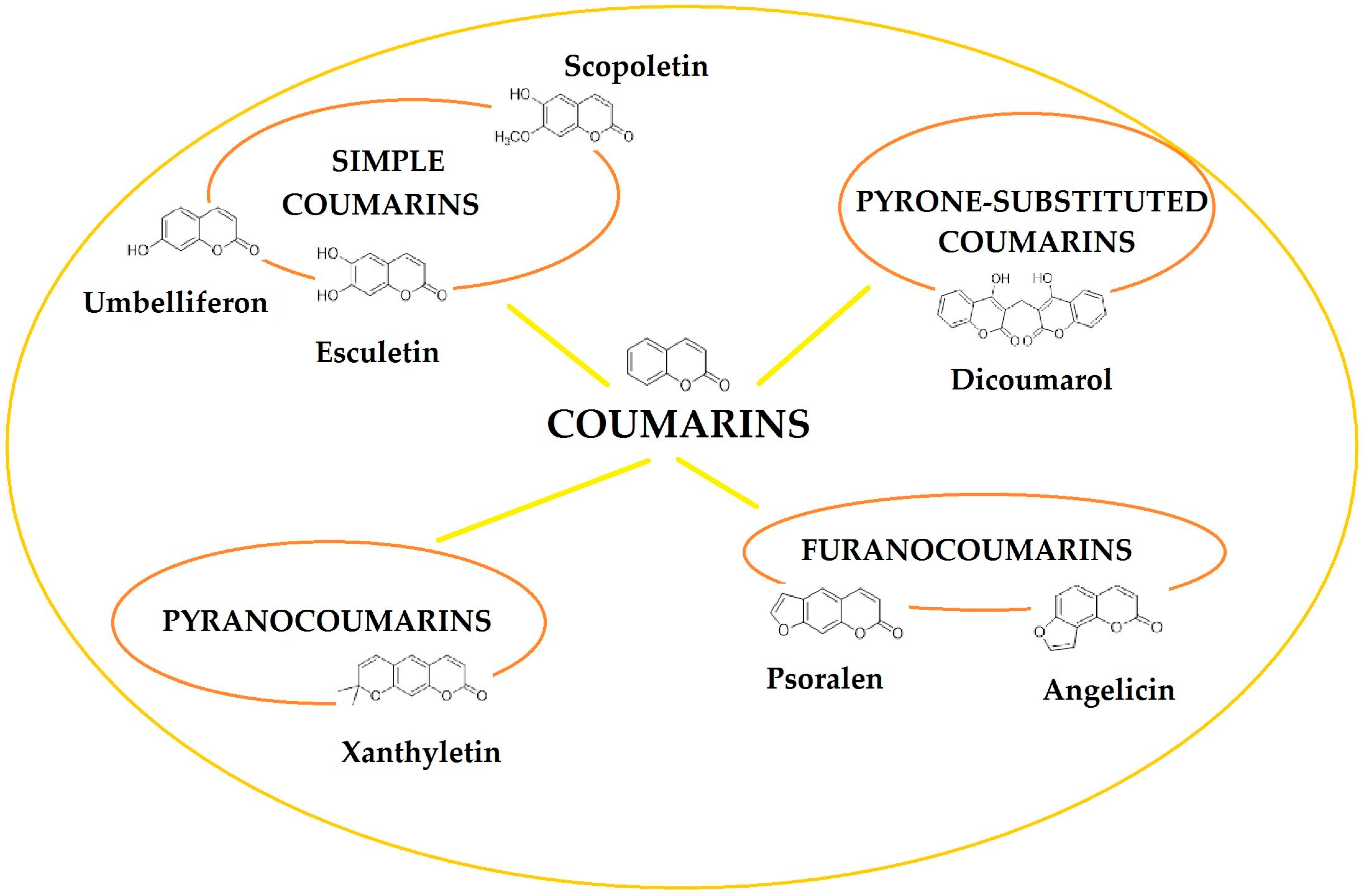 Pharmaceutics 17 00595 g002