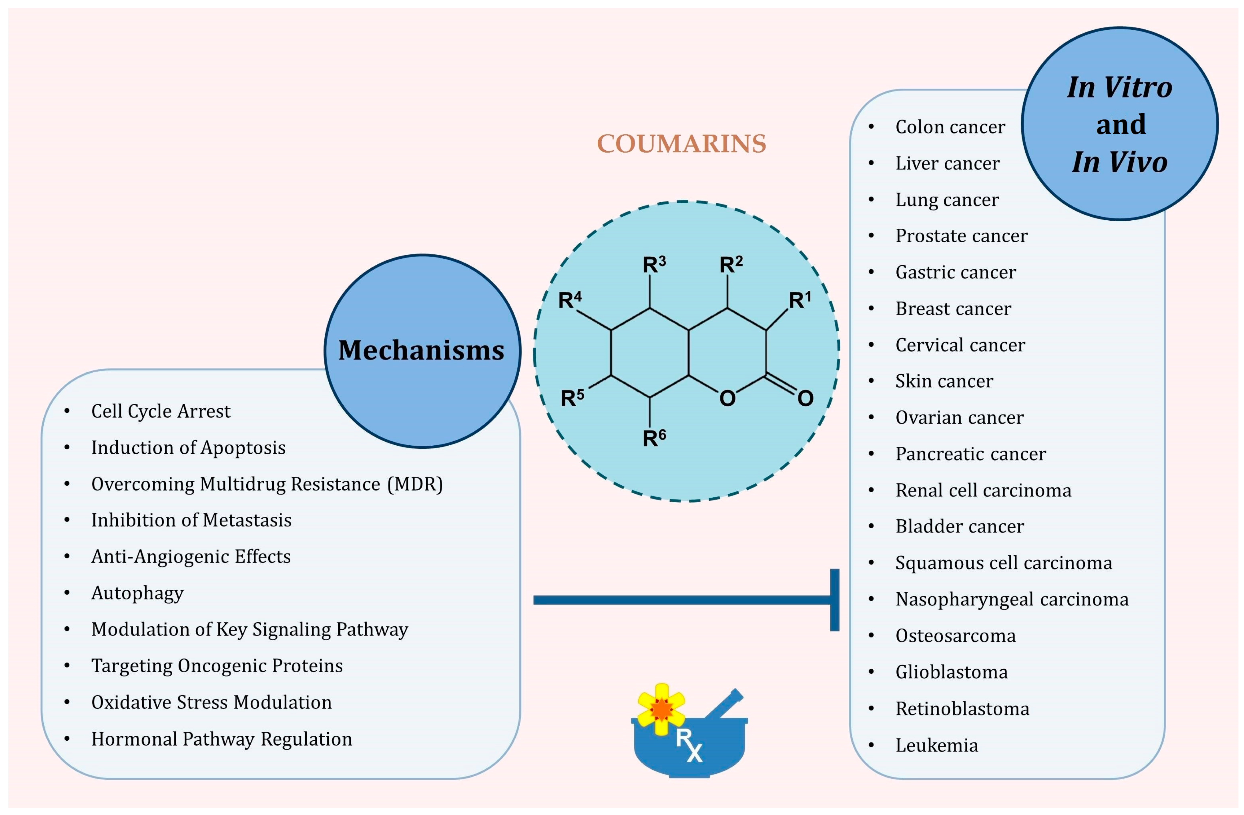 Pharmaceutics 17 00595 g003