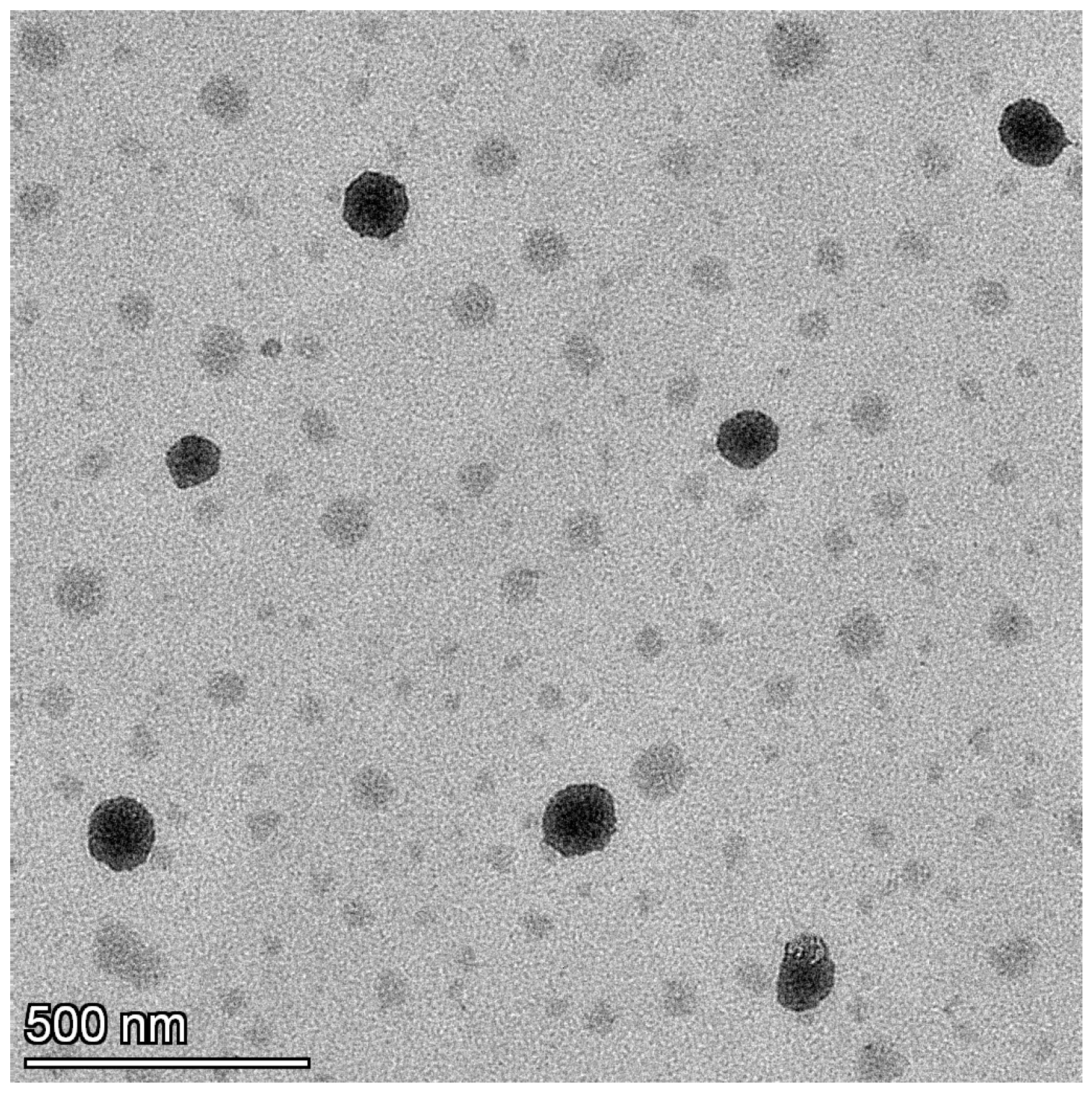 Pharmaceutics 17 00596 g006