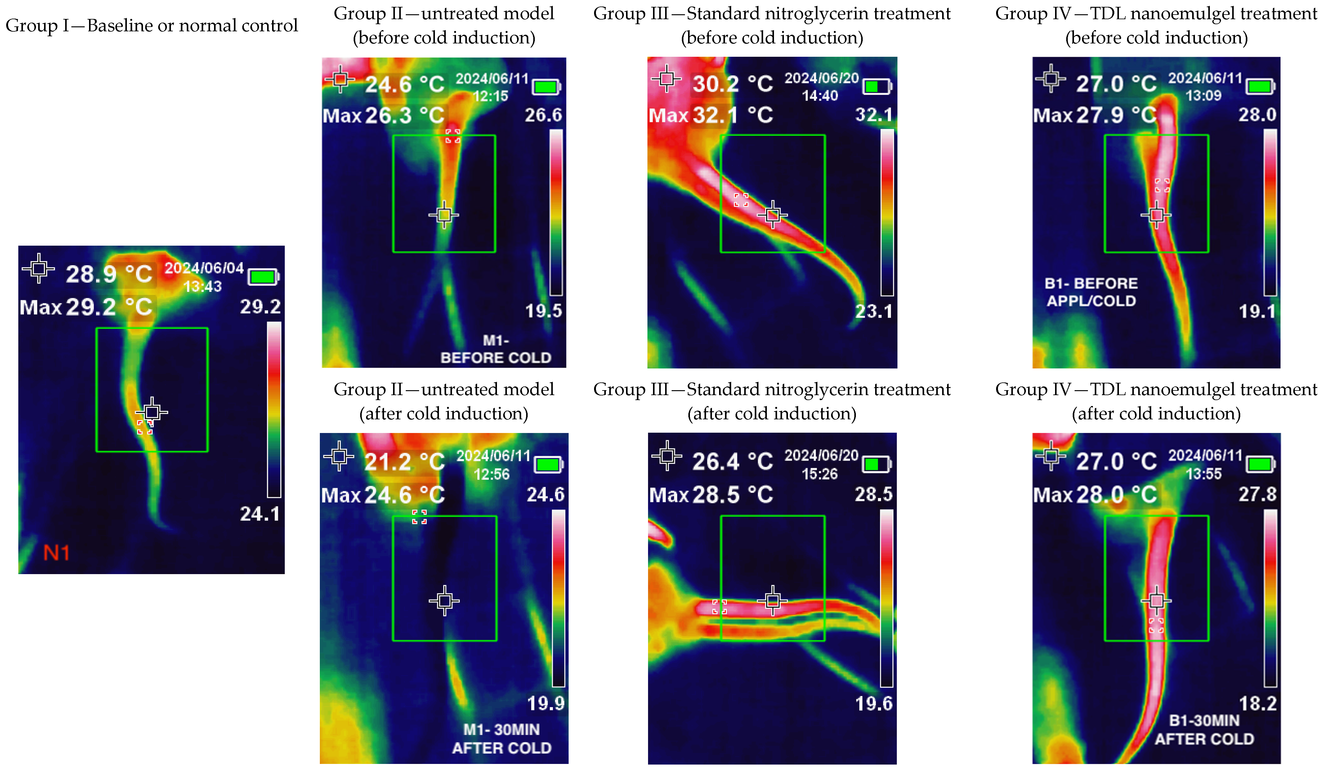 Pharmaceutics 17 00596 g009