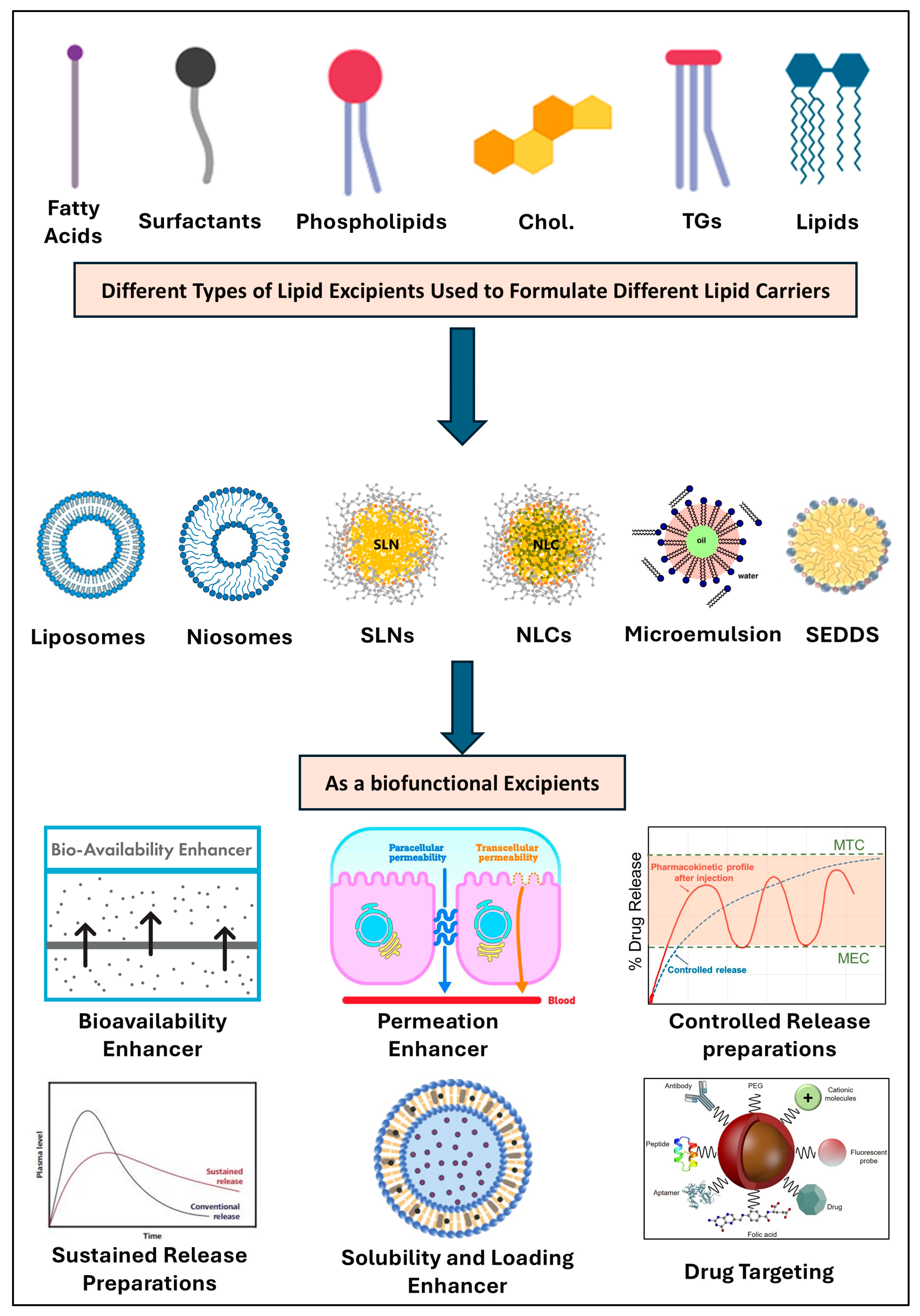 Pharmaceutics 17 00598 g004