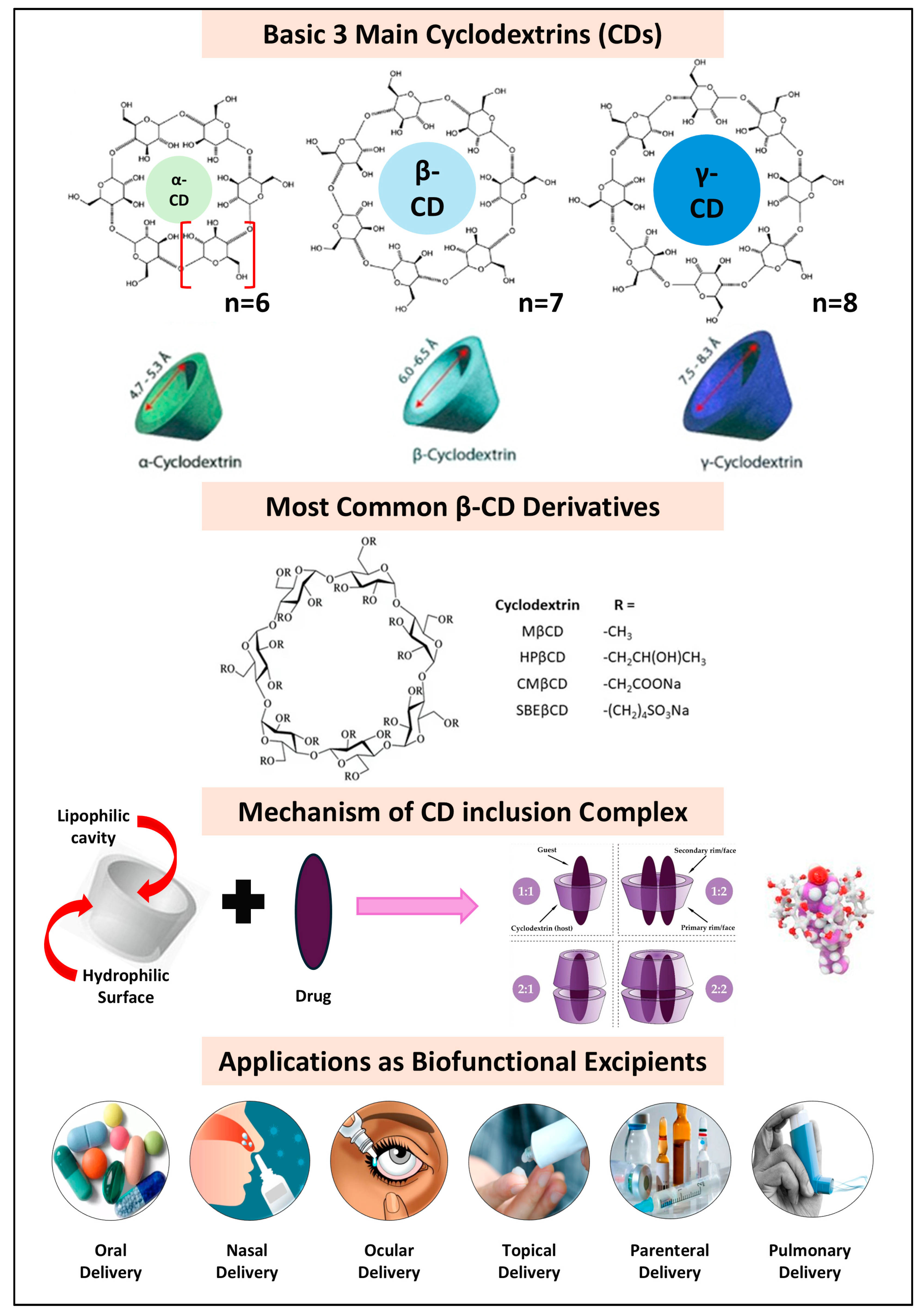 Pharmaceutics 17 00598 g005