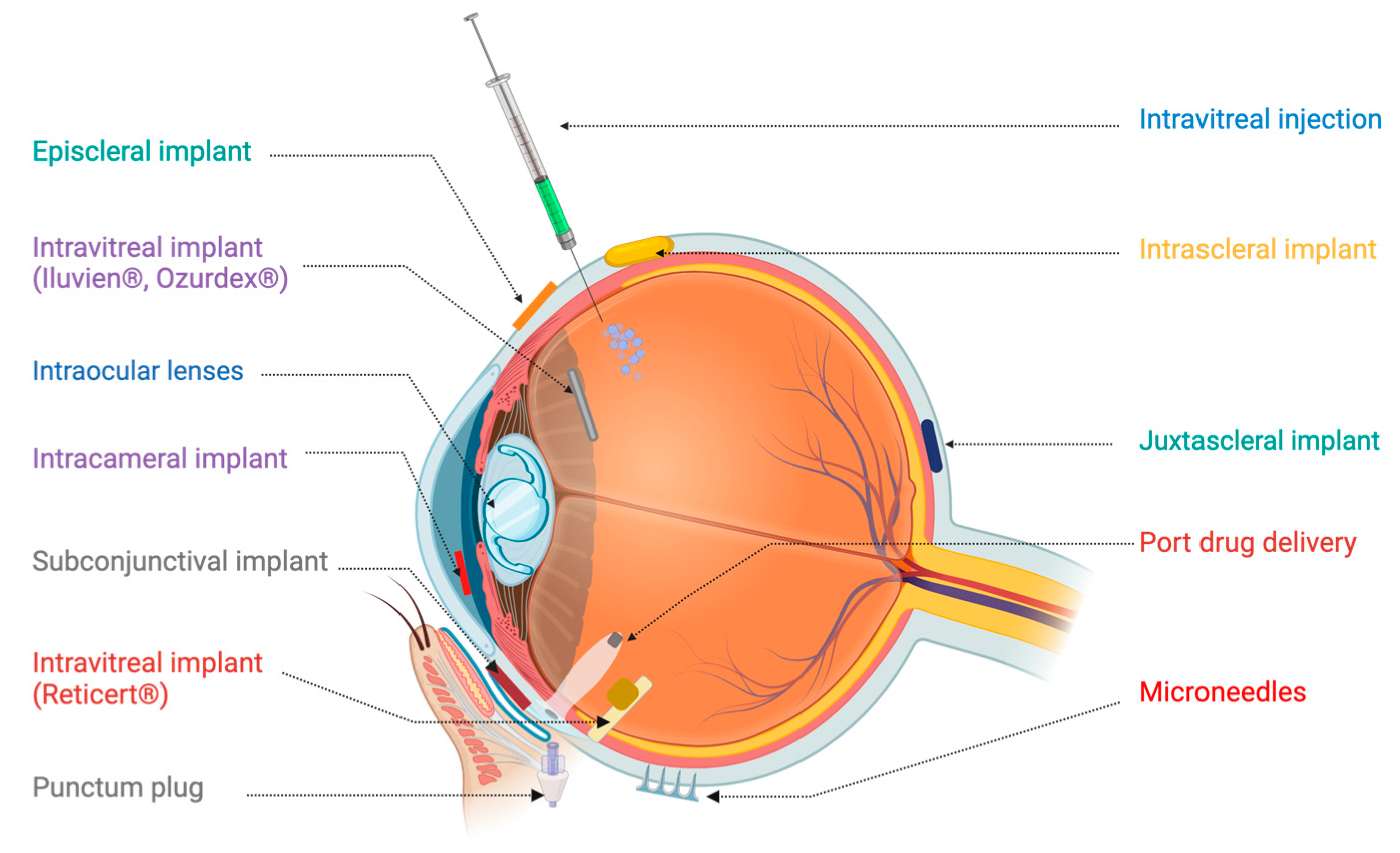 Pharmaceutics 17 00599 g002