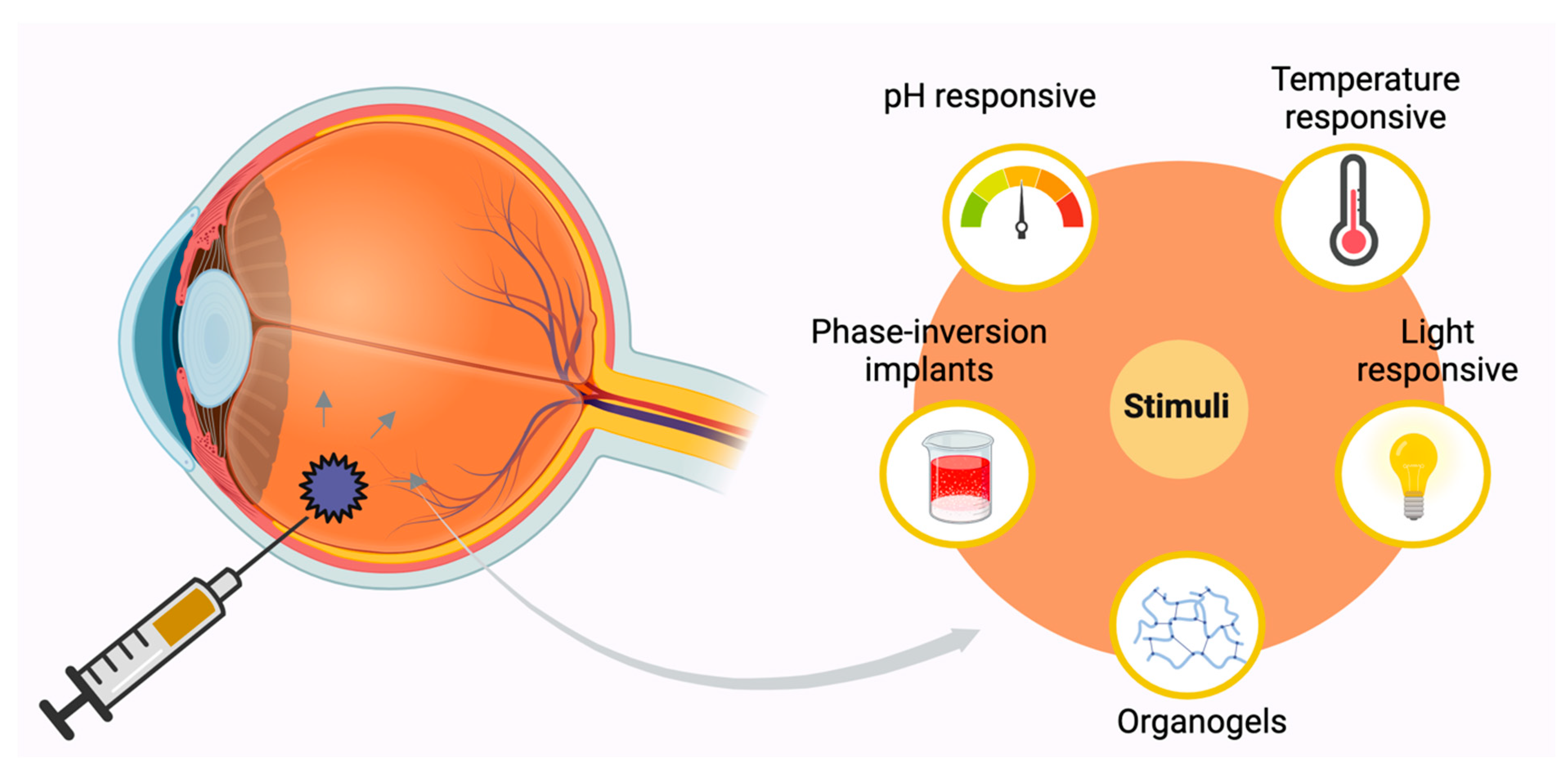 Pharmaceutics 17 00599 g004