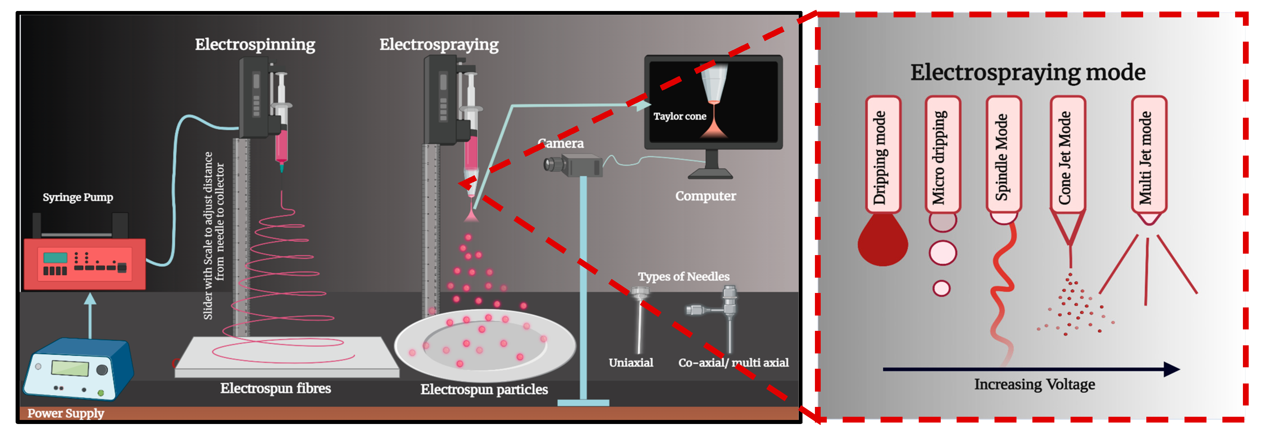 Pharmaceutics 17 00599 g005