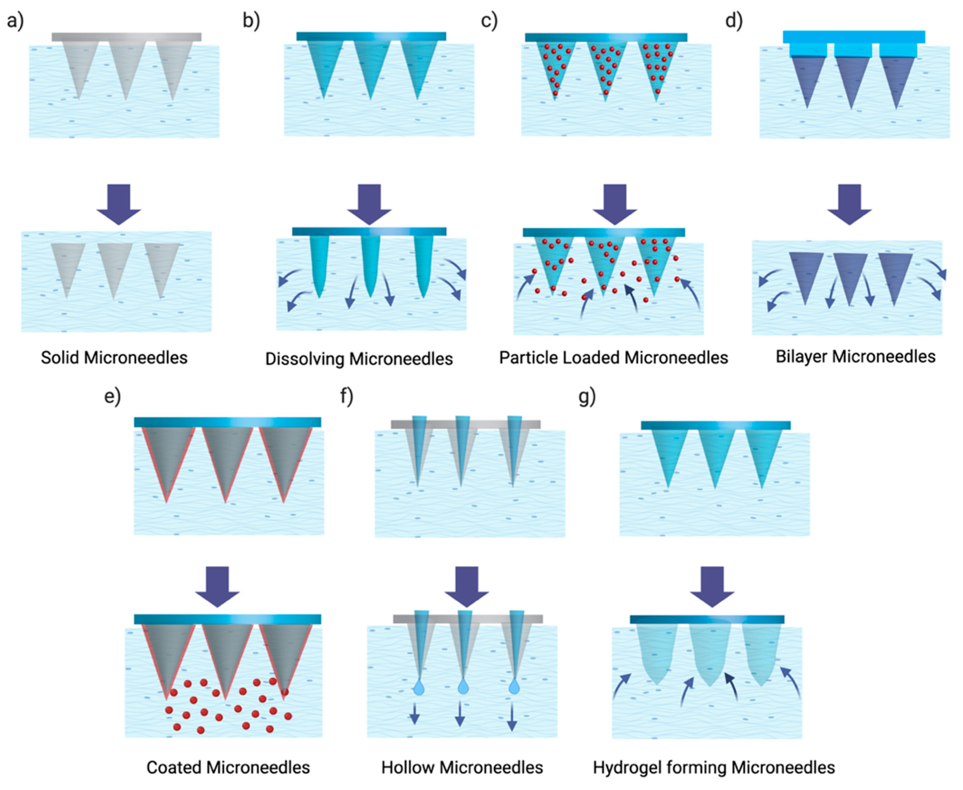 Pharmaceutics 17 00599 g007