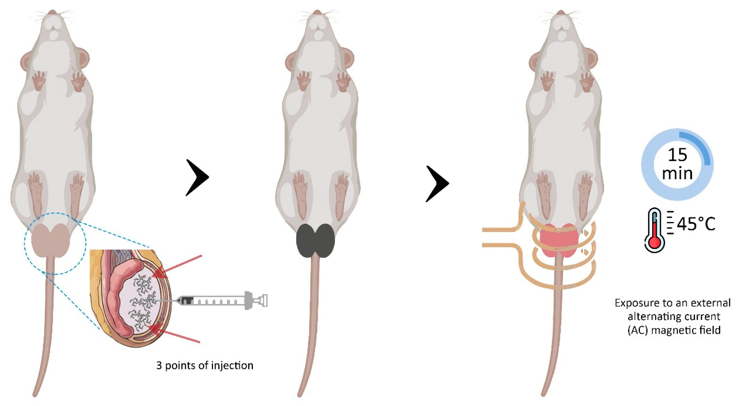 Pharmaceutics 17 00602 g001