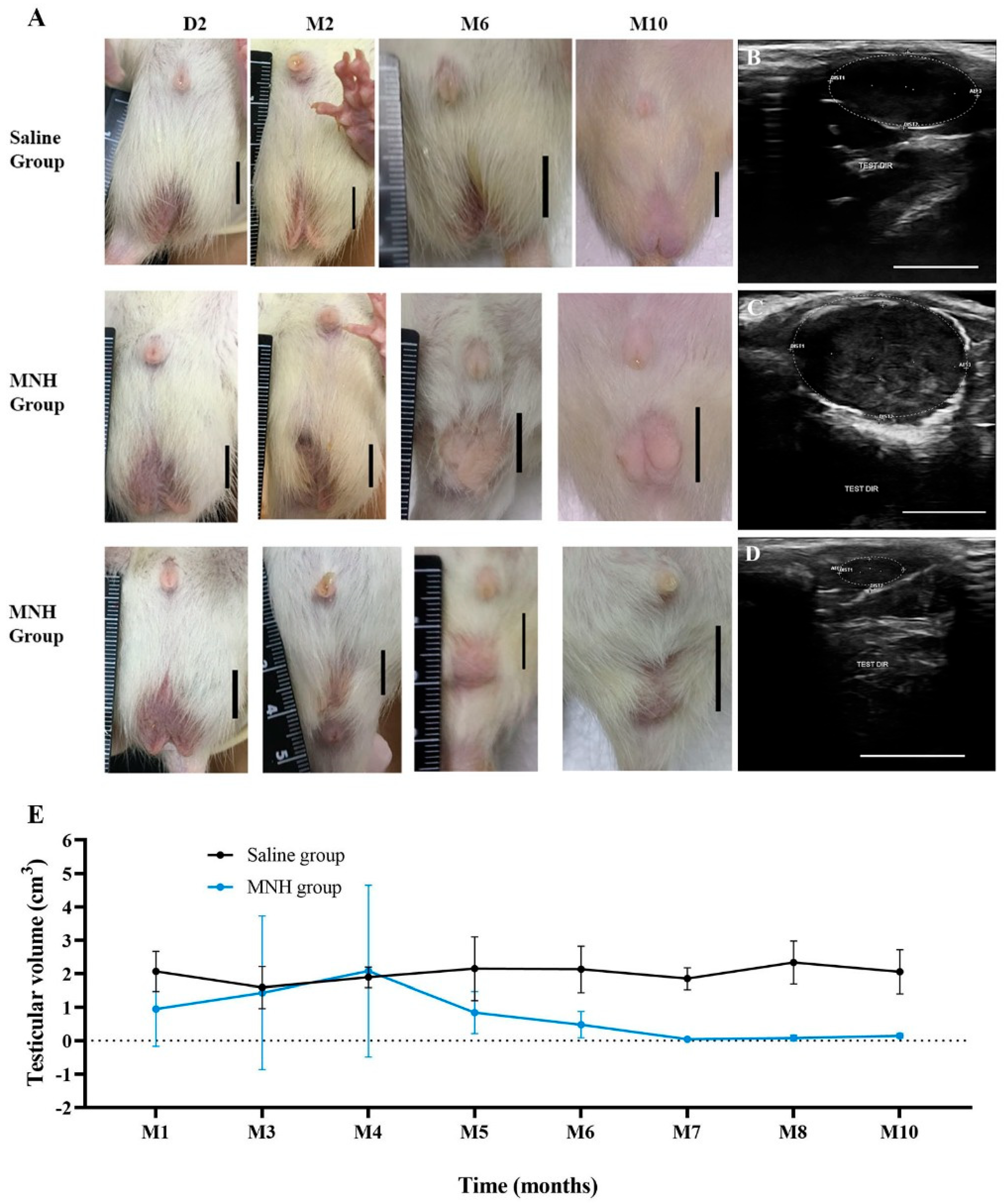 Pharmaceutics 17 00602 g004