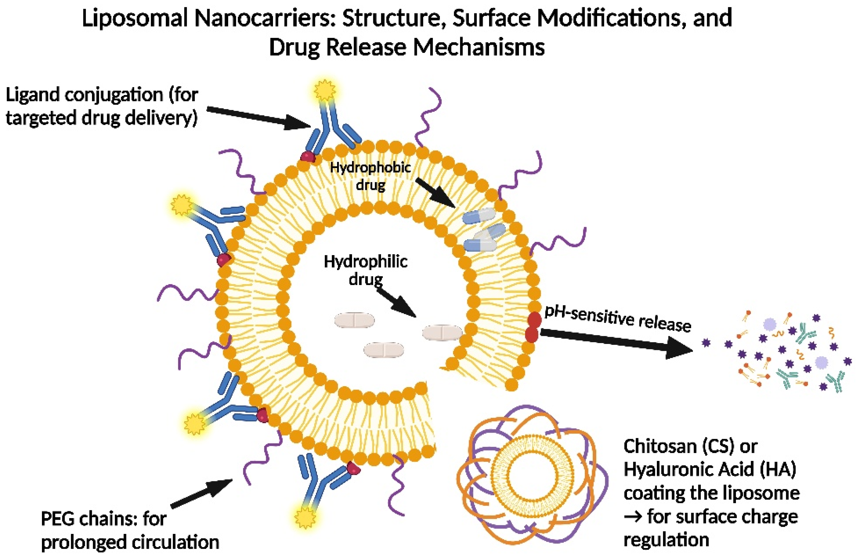 Pharmaceutics 17 00603 g003
