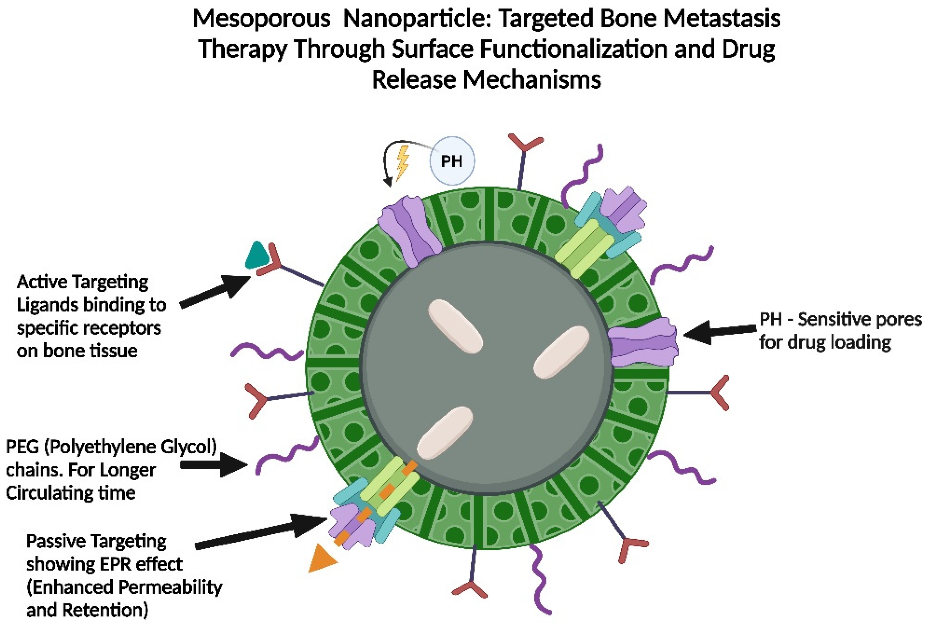 Pharmaceutics 17 00603 g004