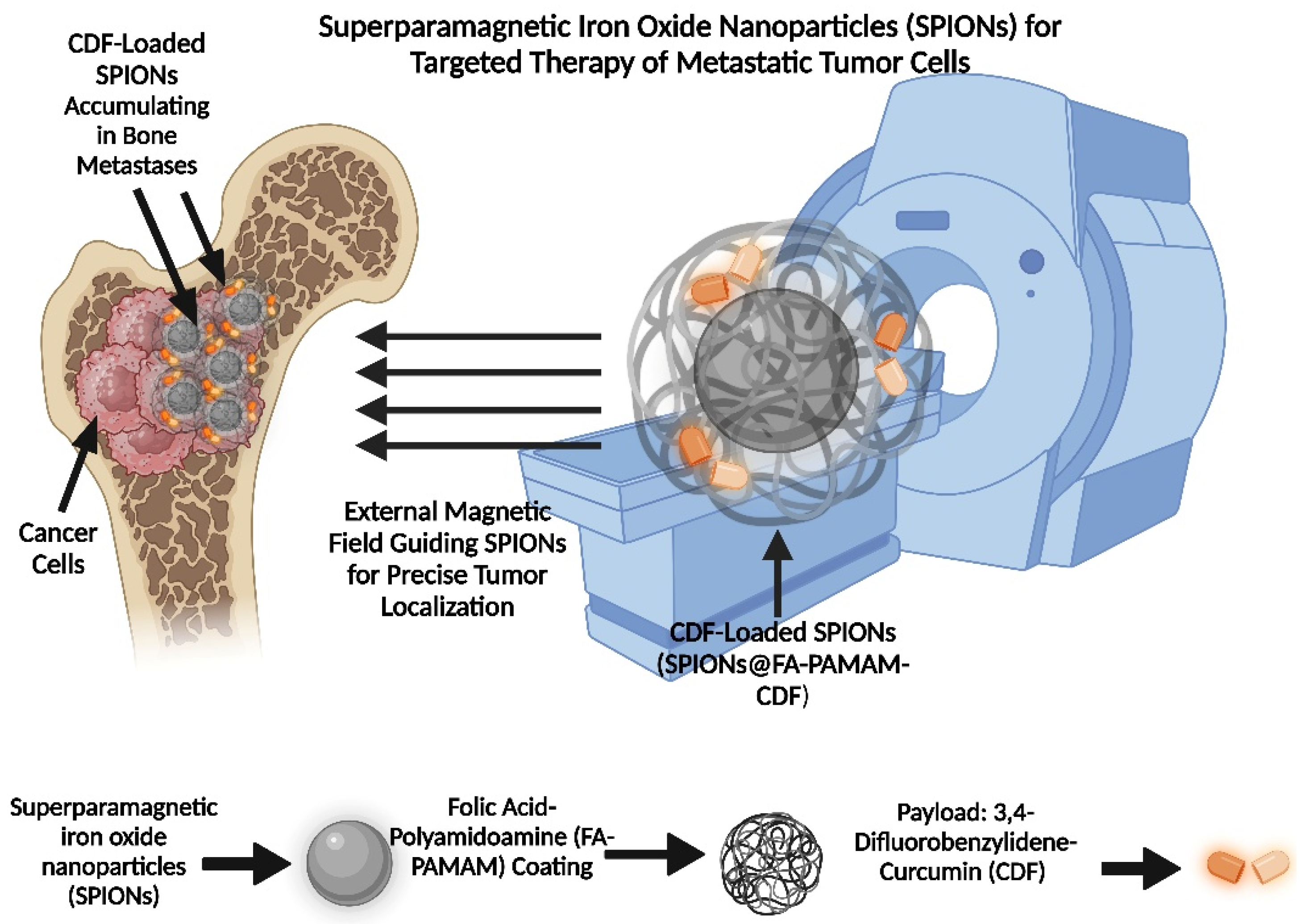 Pharmaceutics 17 00603 g005