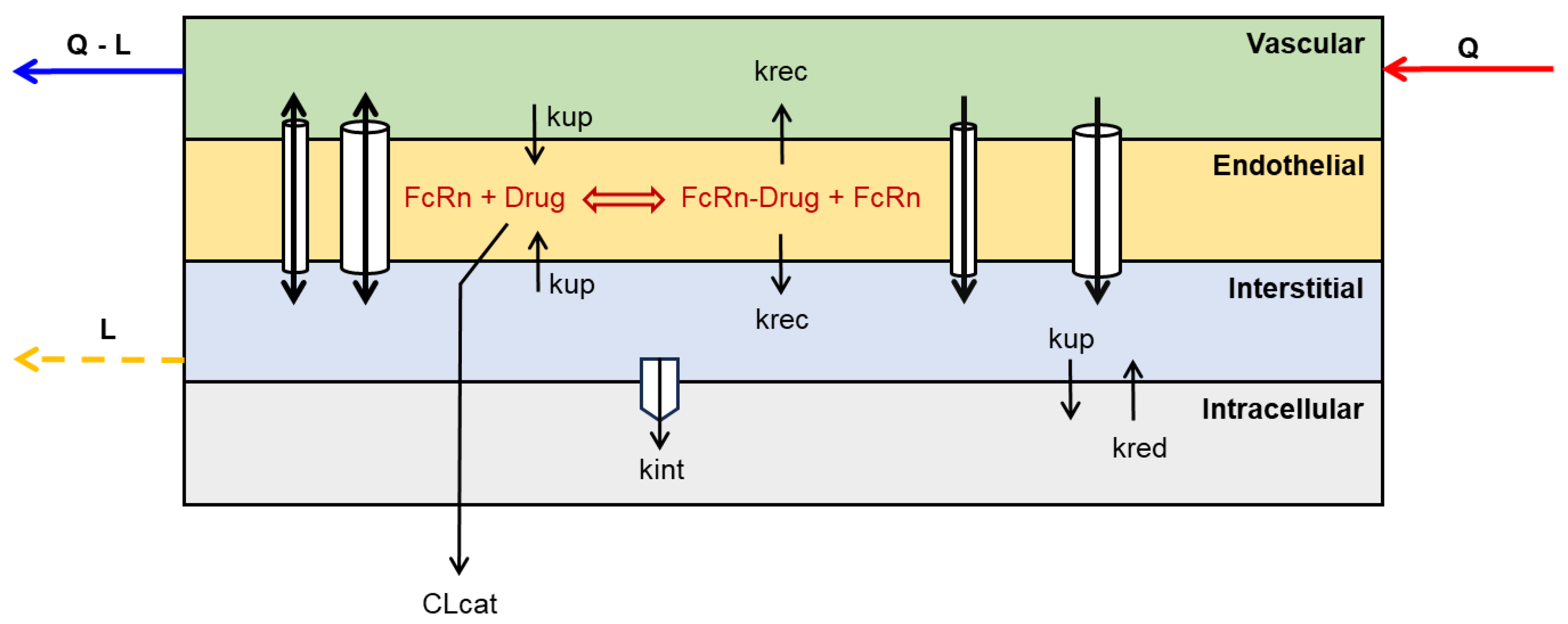 Pharmaceutics 17 00604 g002