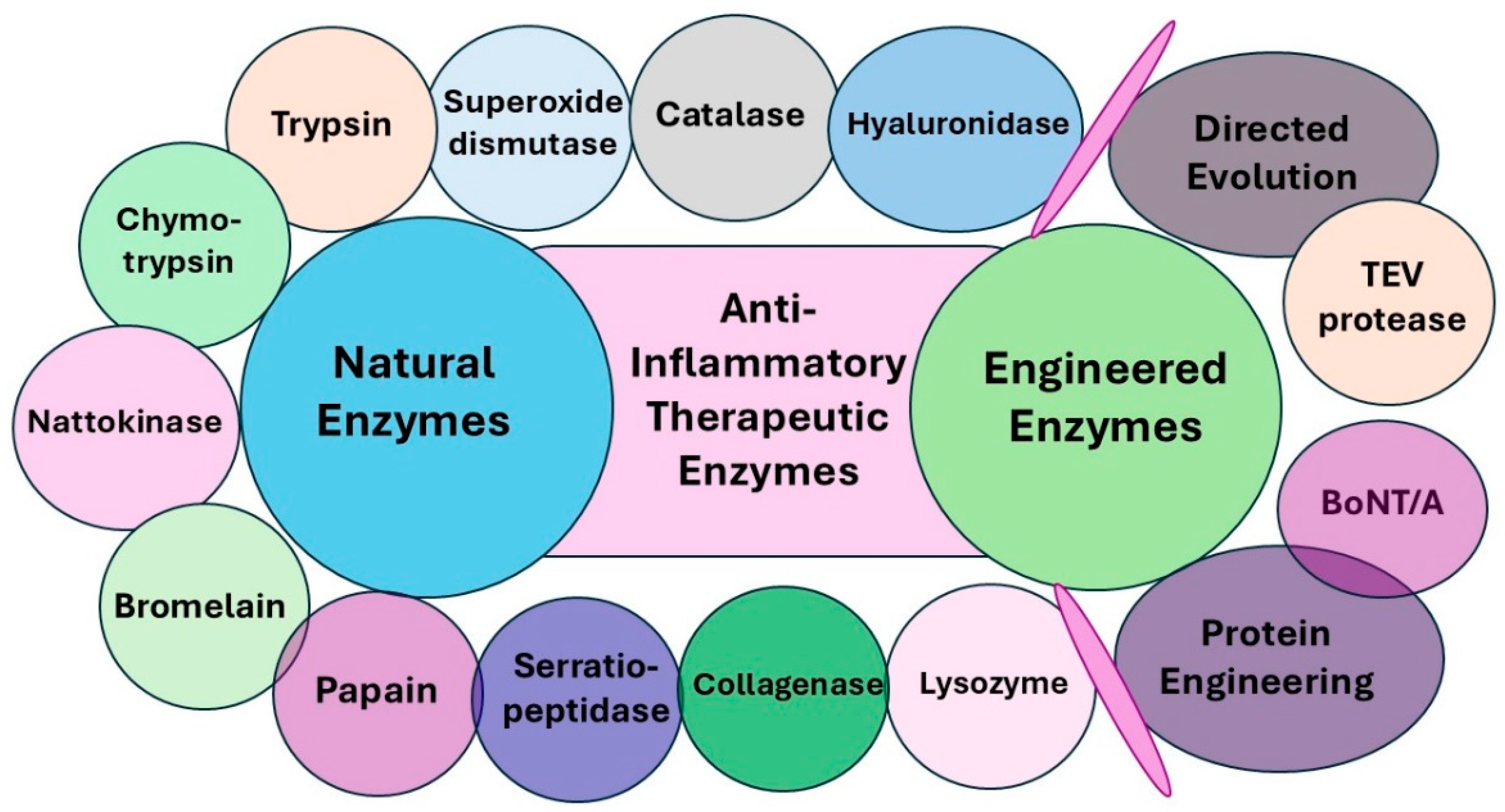 Pharmaceutics 17 00606 g003 Pharmaceutics 17 00606 g003