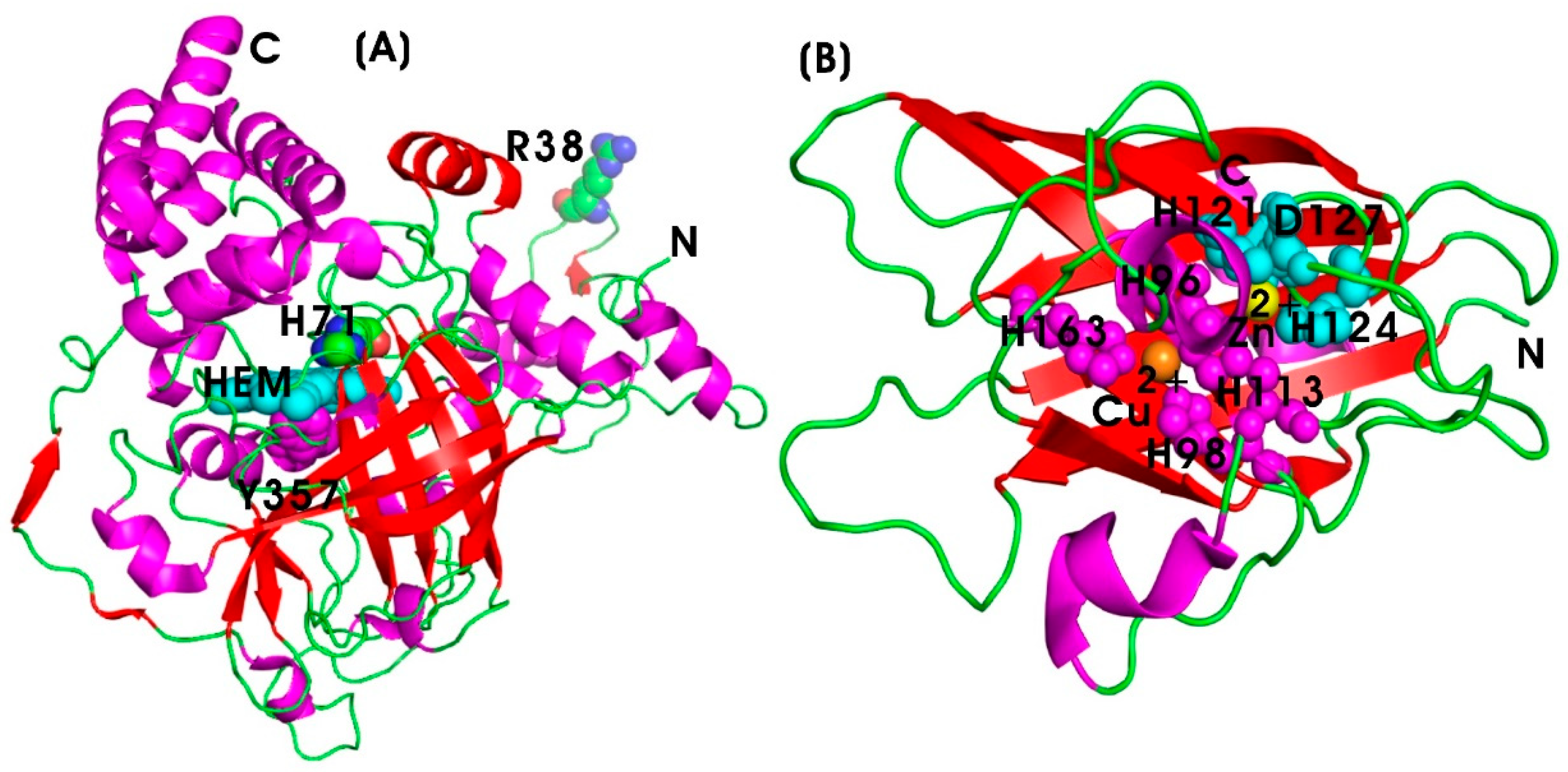 Pharmaceutics 17 00606 g004 Pharmaceutics 17 00606 g004