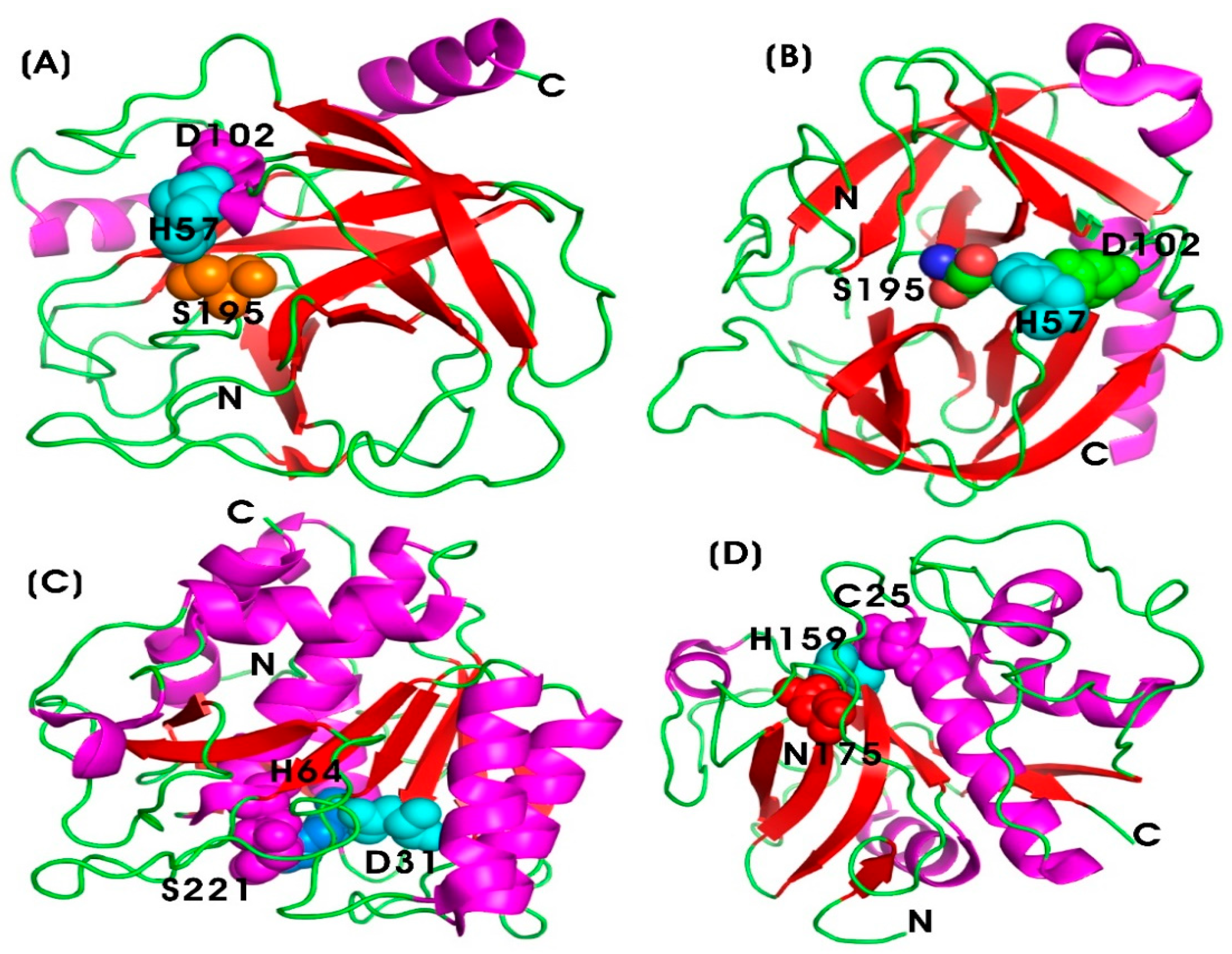 Pharmaceutics 17 00606 g005 Pharmaceutics 17 00606 g005