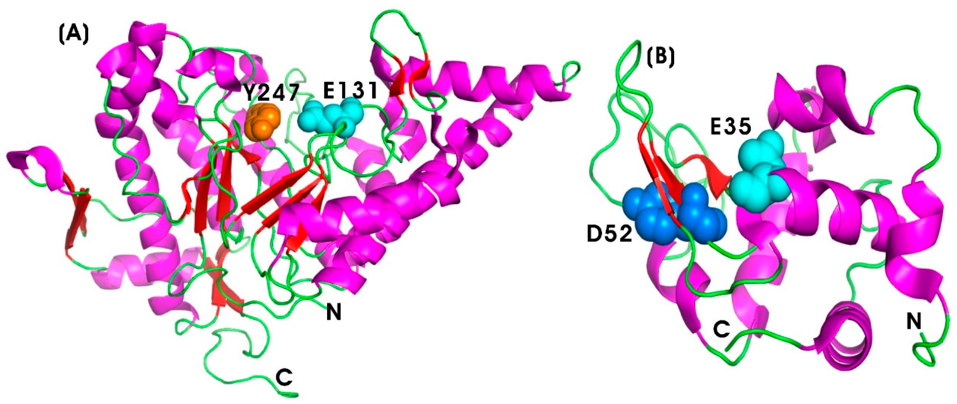 Pharmaceutics 17 00606 g007 Pharmaceutics 17 00606 g007