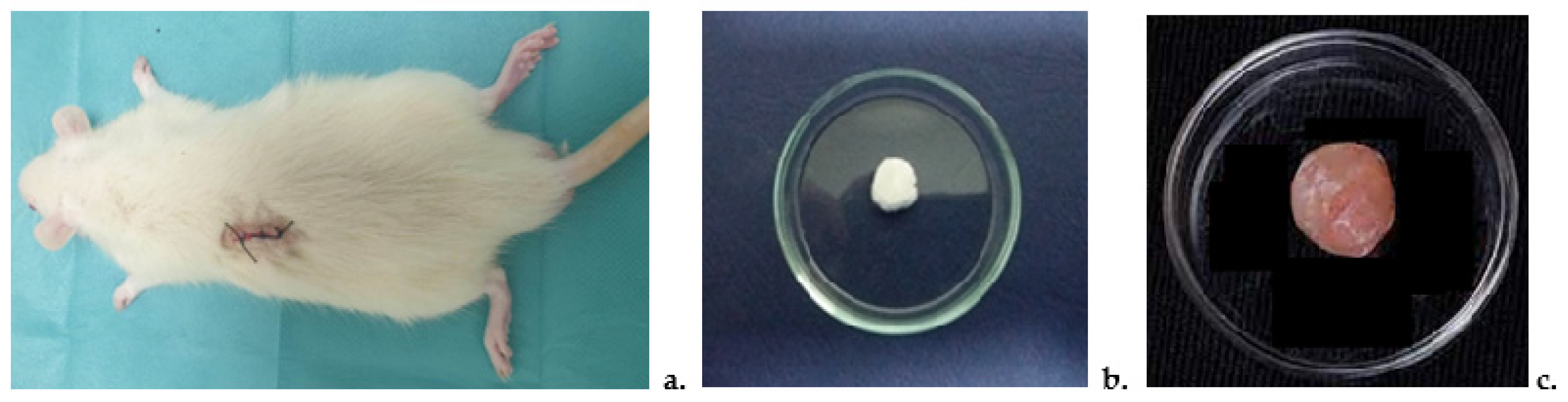 Pharmaceutics 17 00607 g002