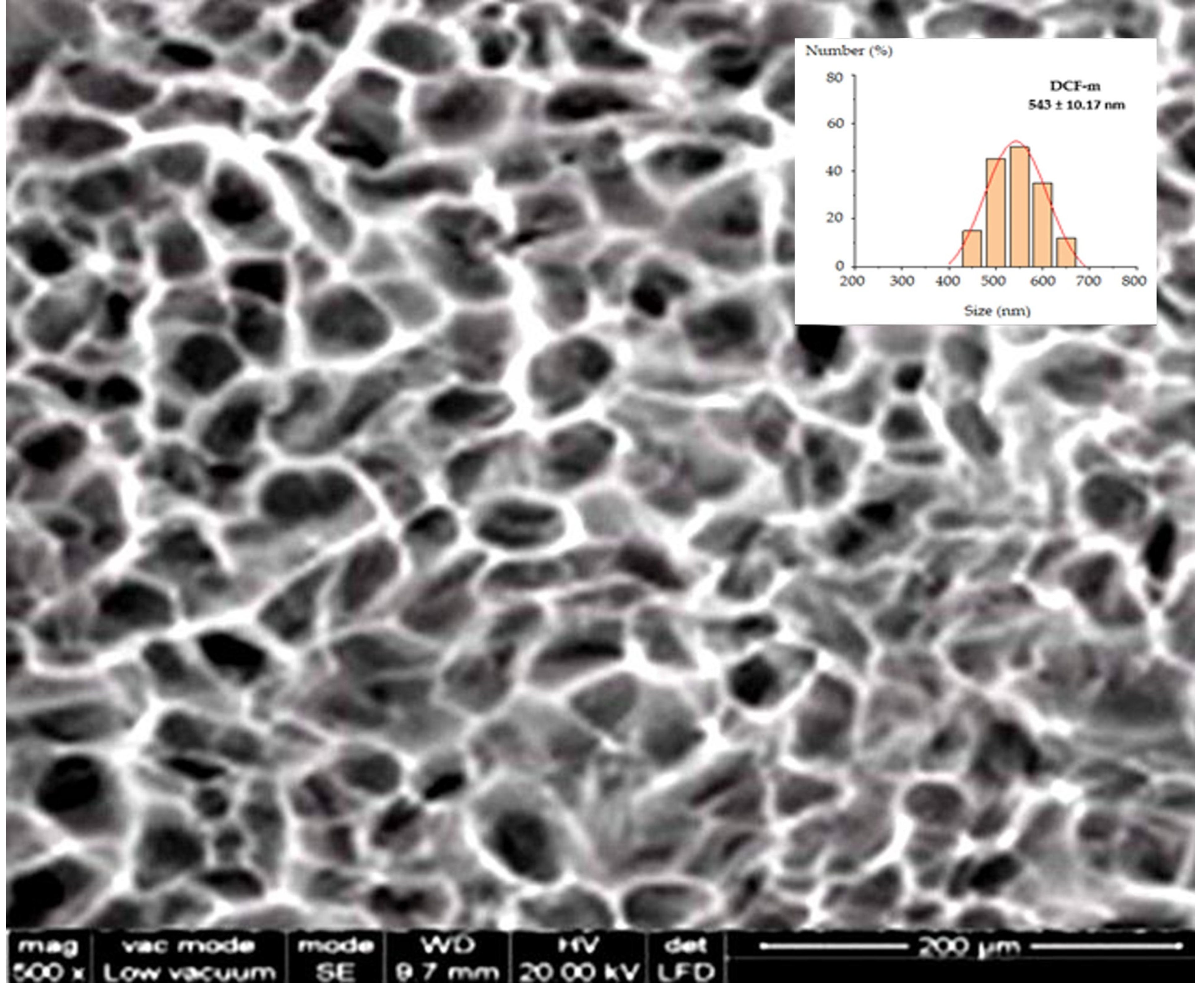 Pharmaceutics 17 00607 g003