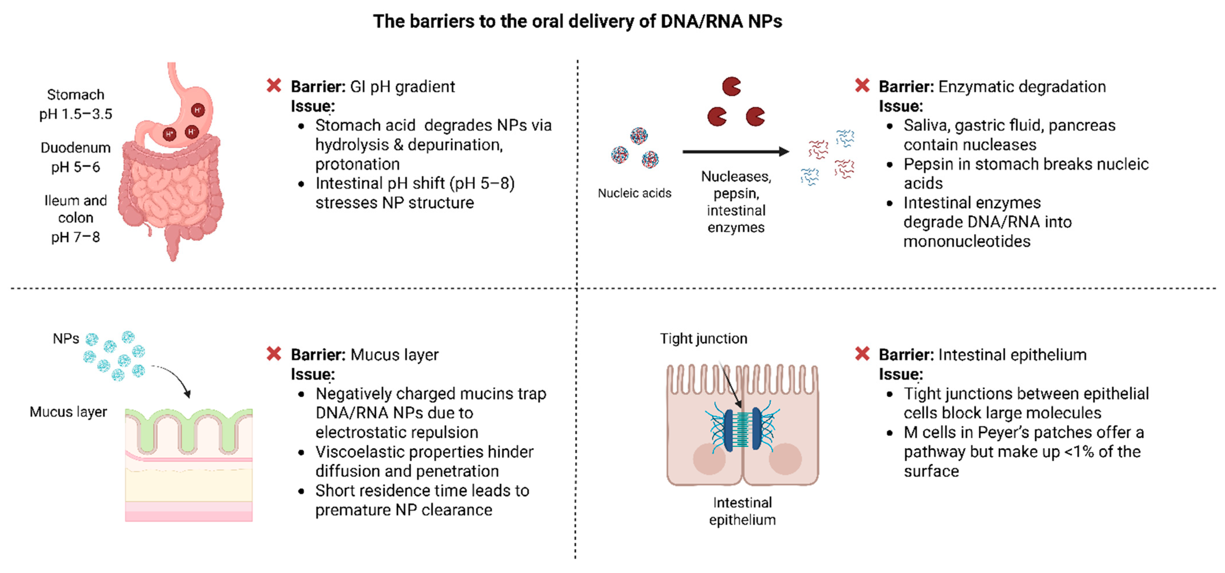 Pharmaceutics 17 00609 g002