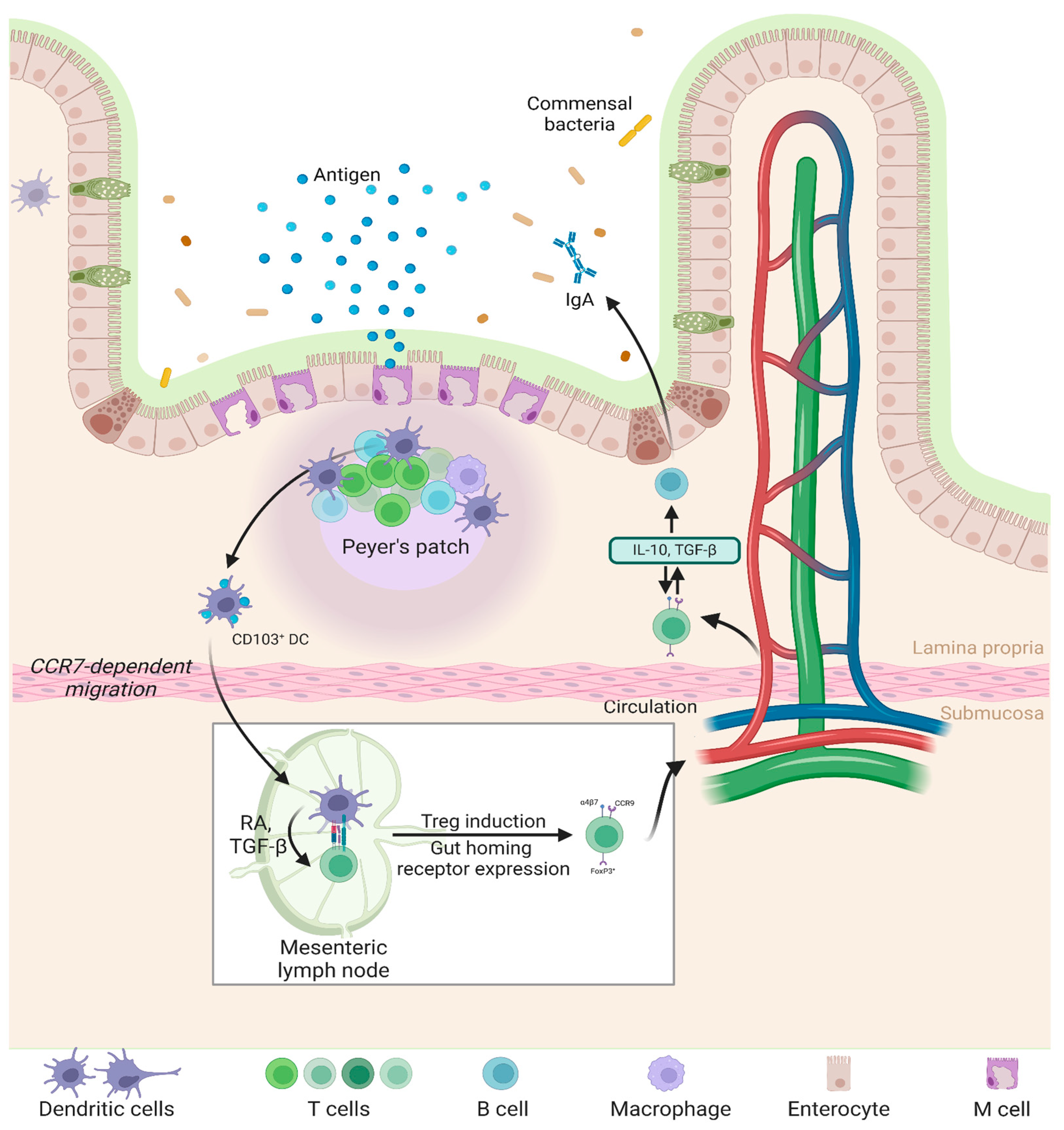 Pharmaceutics 17 00609 g003