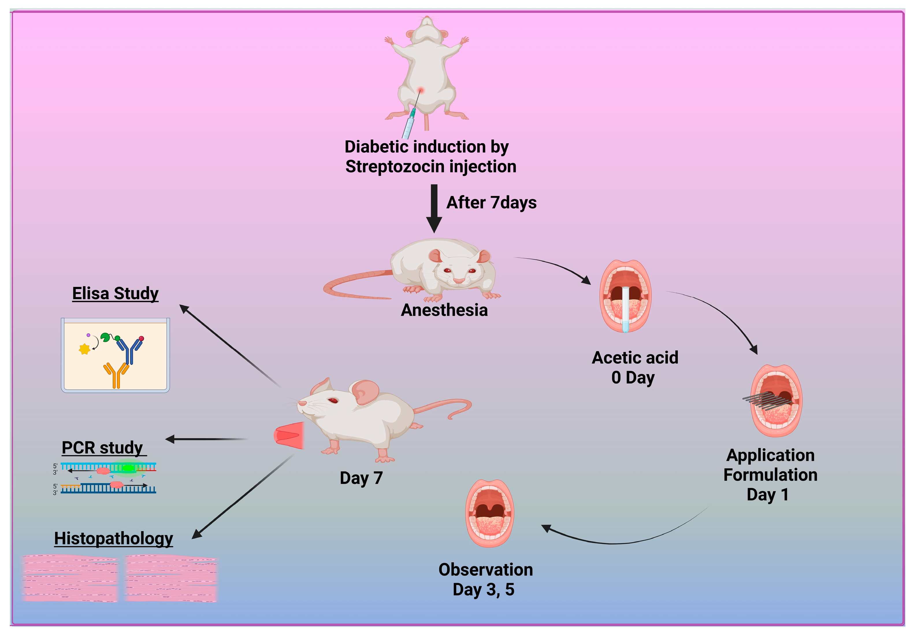 Pharmaceutics 17 00611 g001