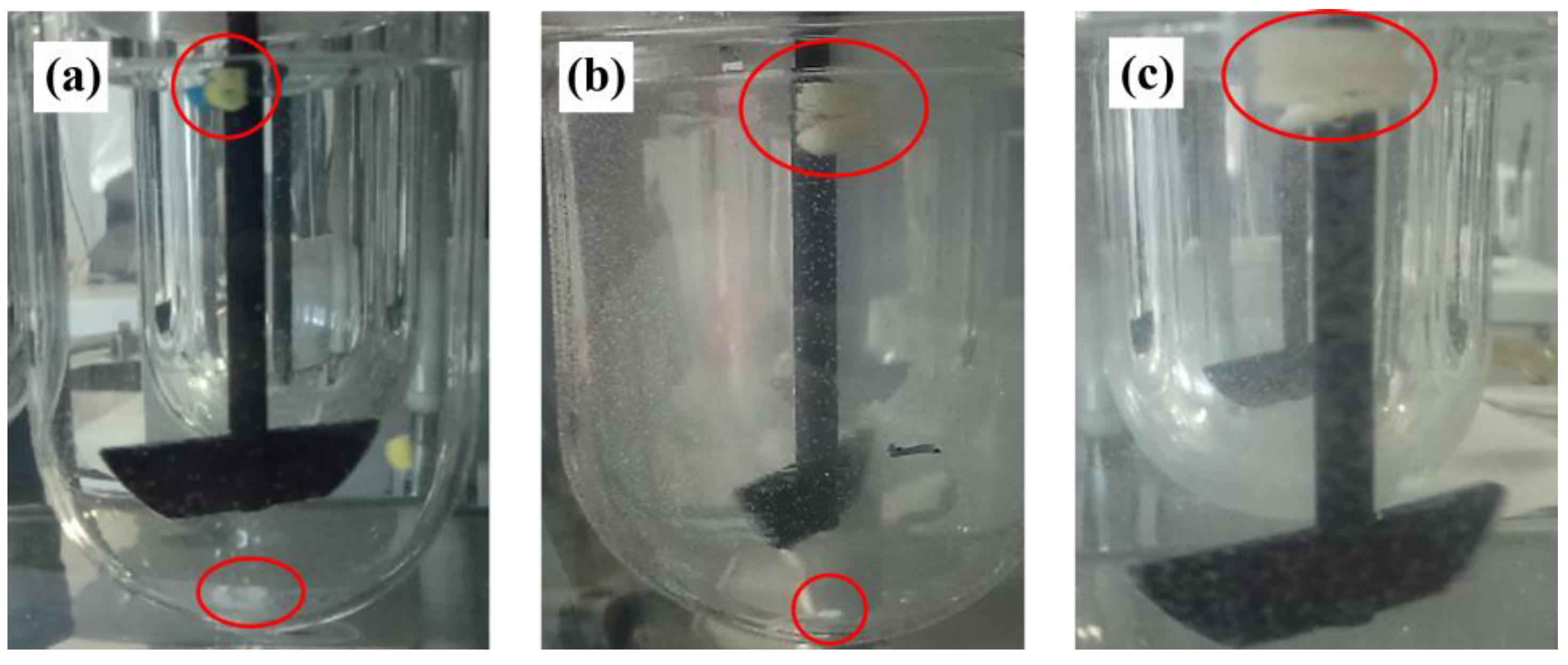 Pharmaceutics 17 00613 g011
