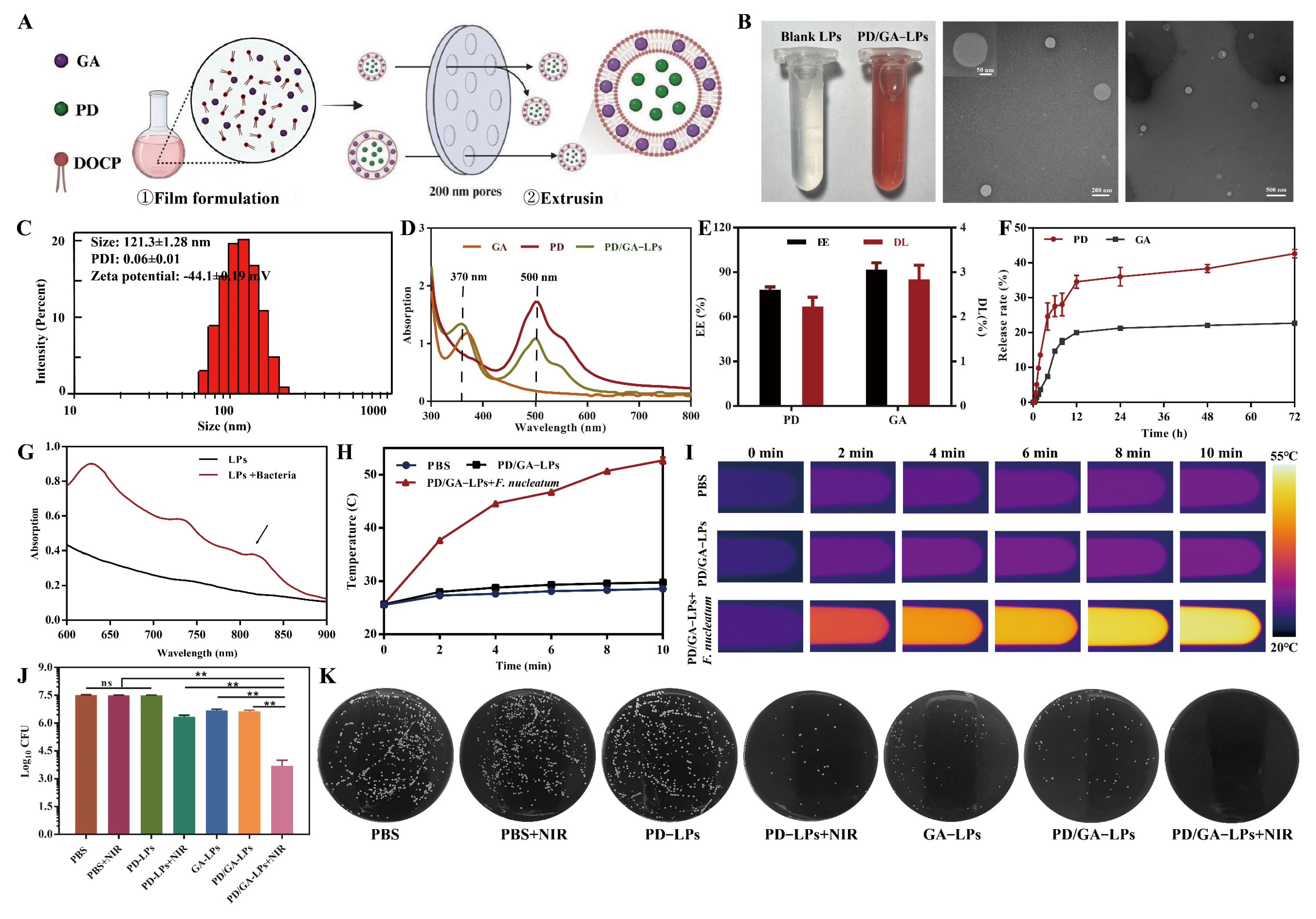 Pharmaceutics 17 00614 g001